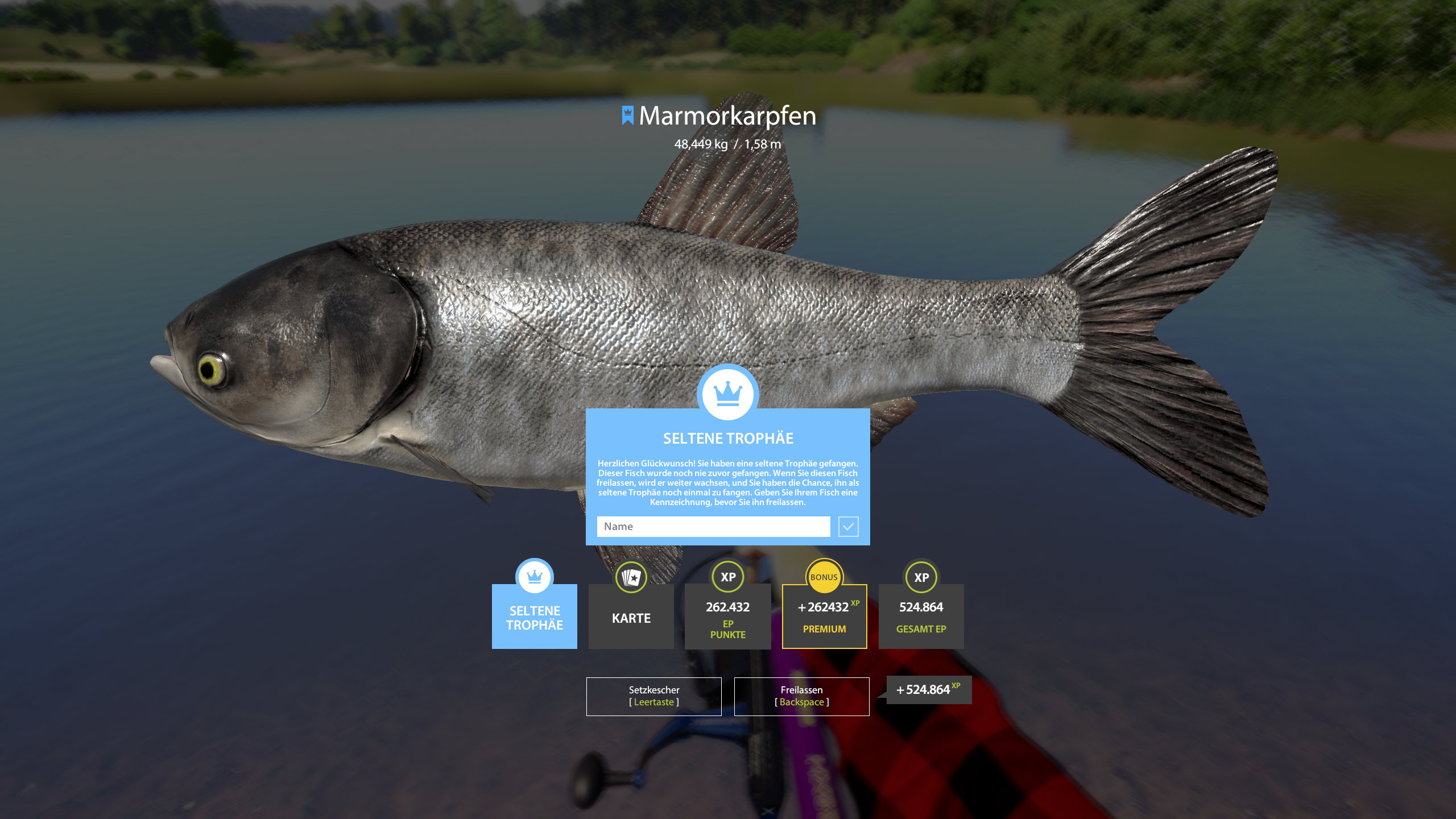 Bighead Carp | Germany | Bottom Fishing