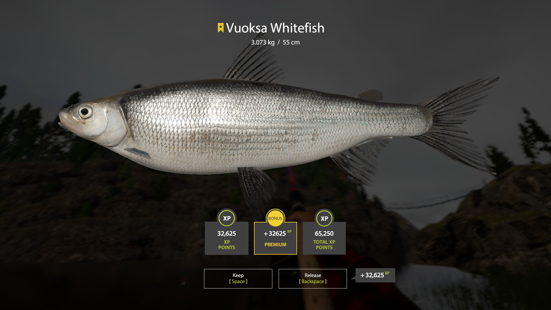 Vuoksa Whitefish | Other Countries | Match Rod Fishing