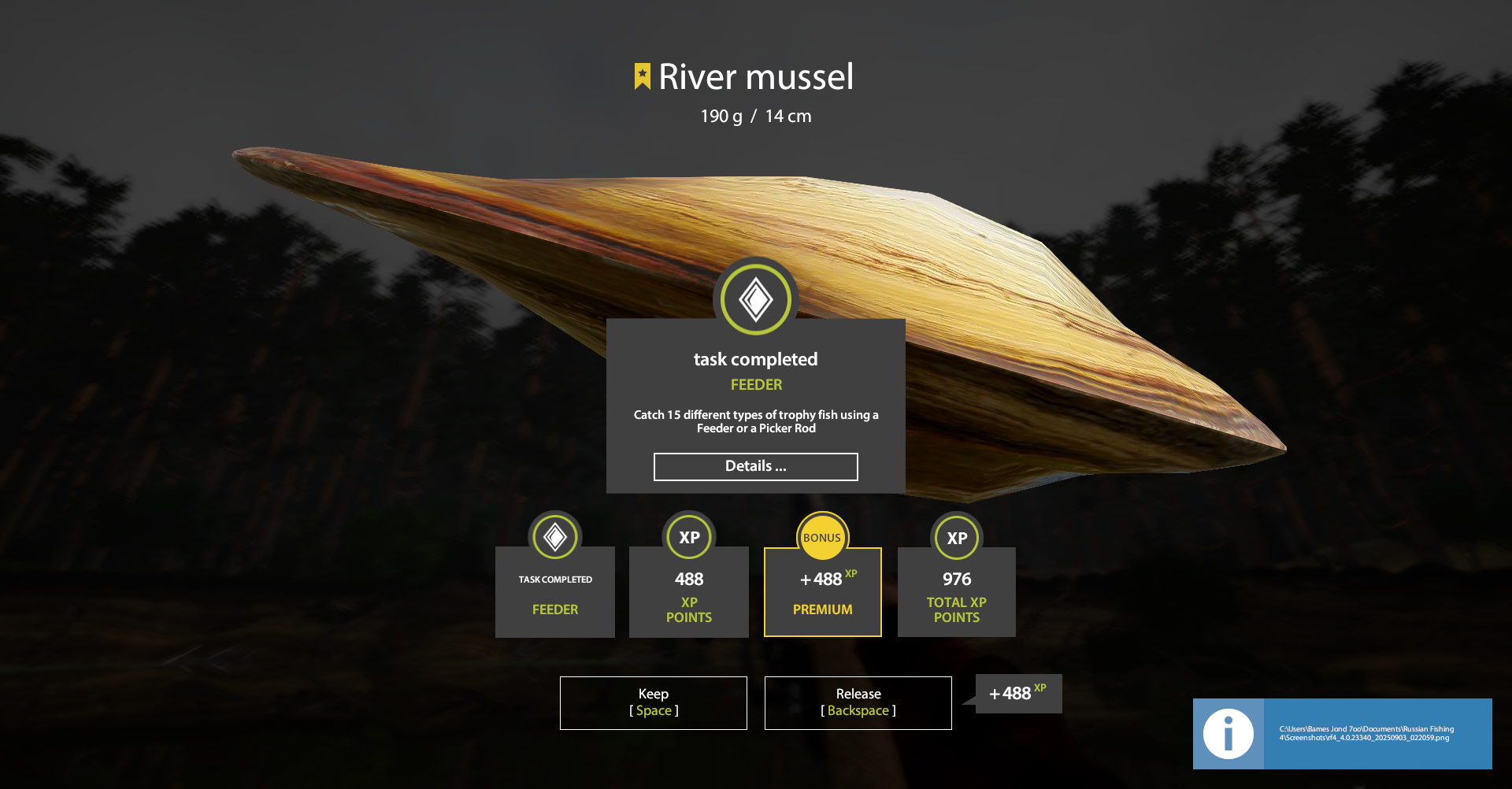 Trophy Winding Rivulet