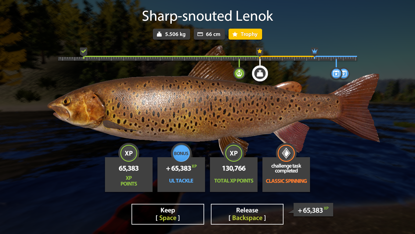 Sharp-snouted Lenok | Other Countries | Spinning