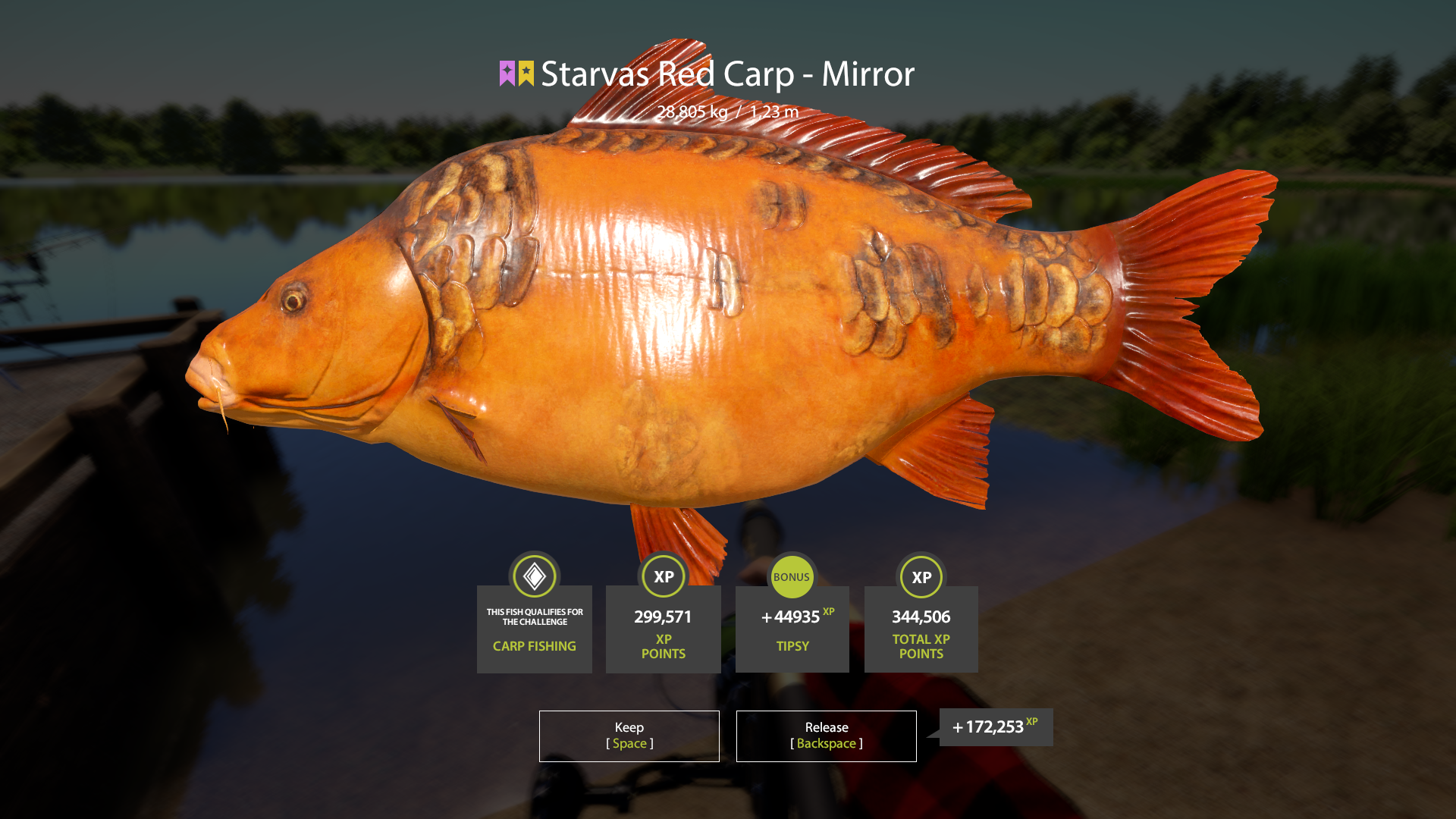 Starvas Red Carp - Mirror | Other Countries | Bottom Fishing
