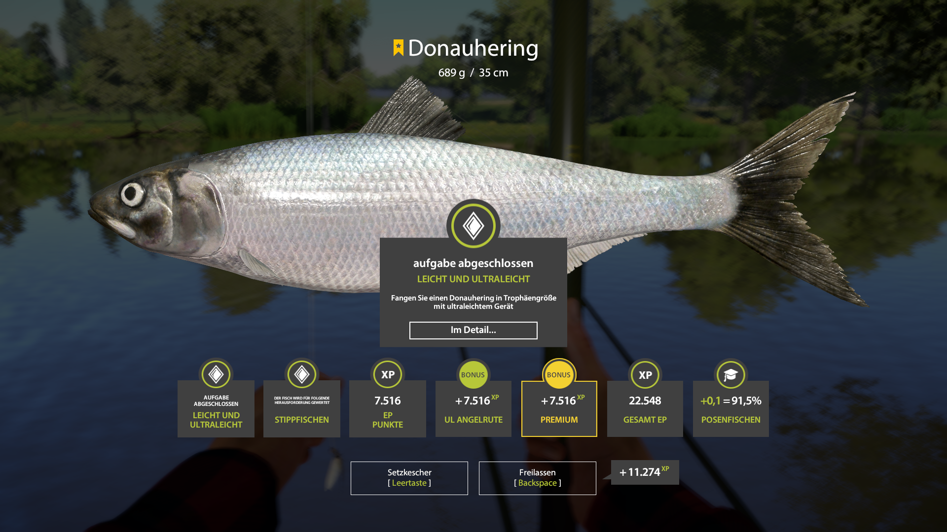 Pontic shad | Germany | Float Fishing
