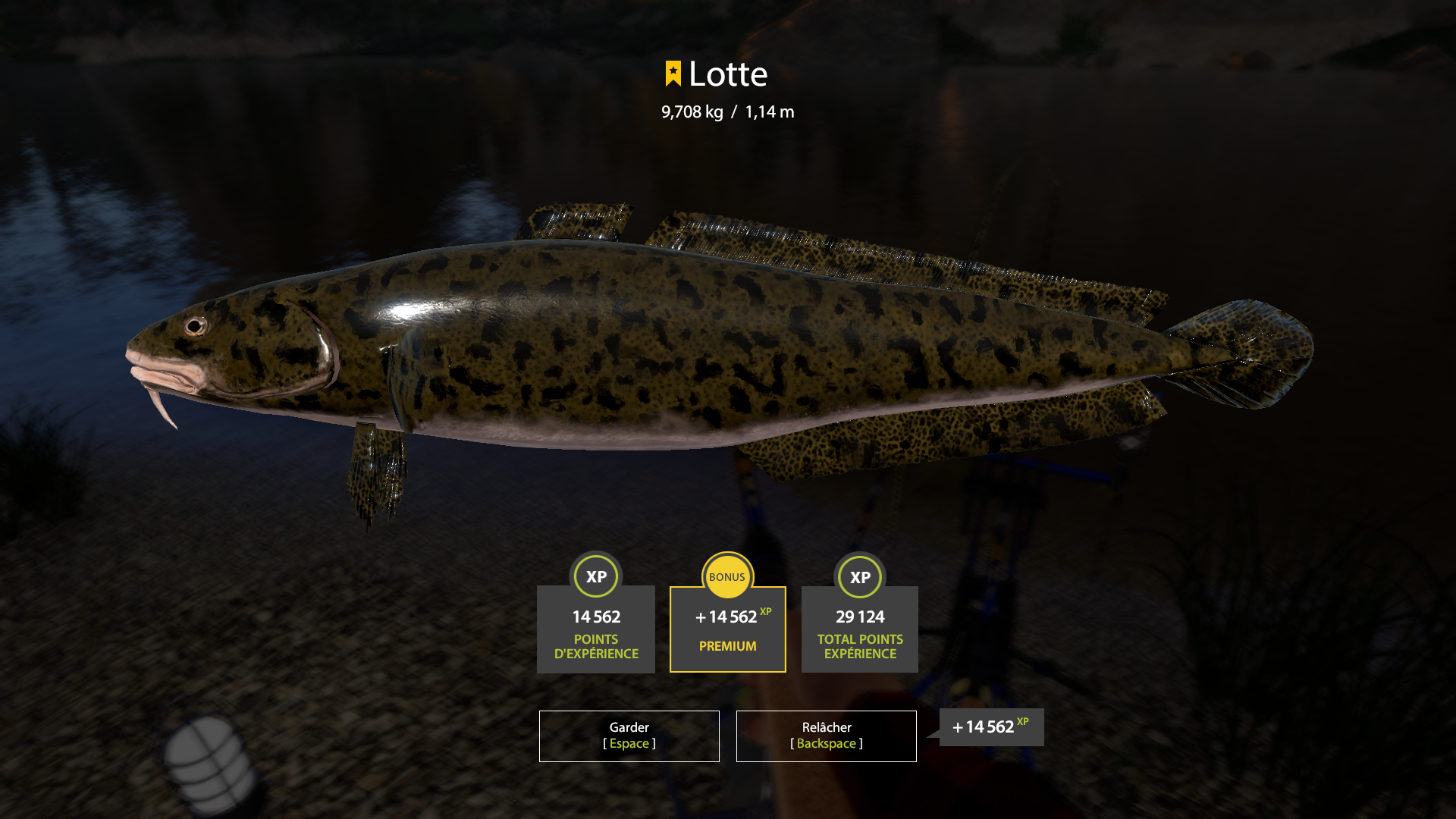 Burbot | France | Bottom Fishing