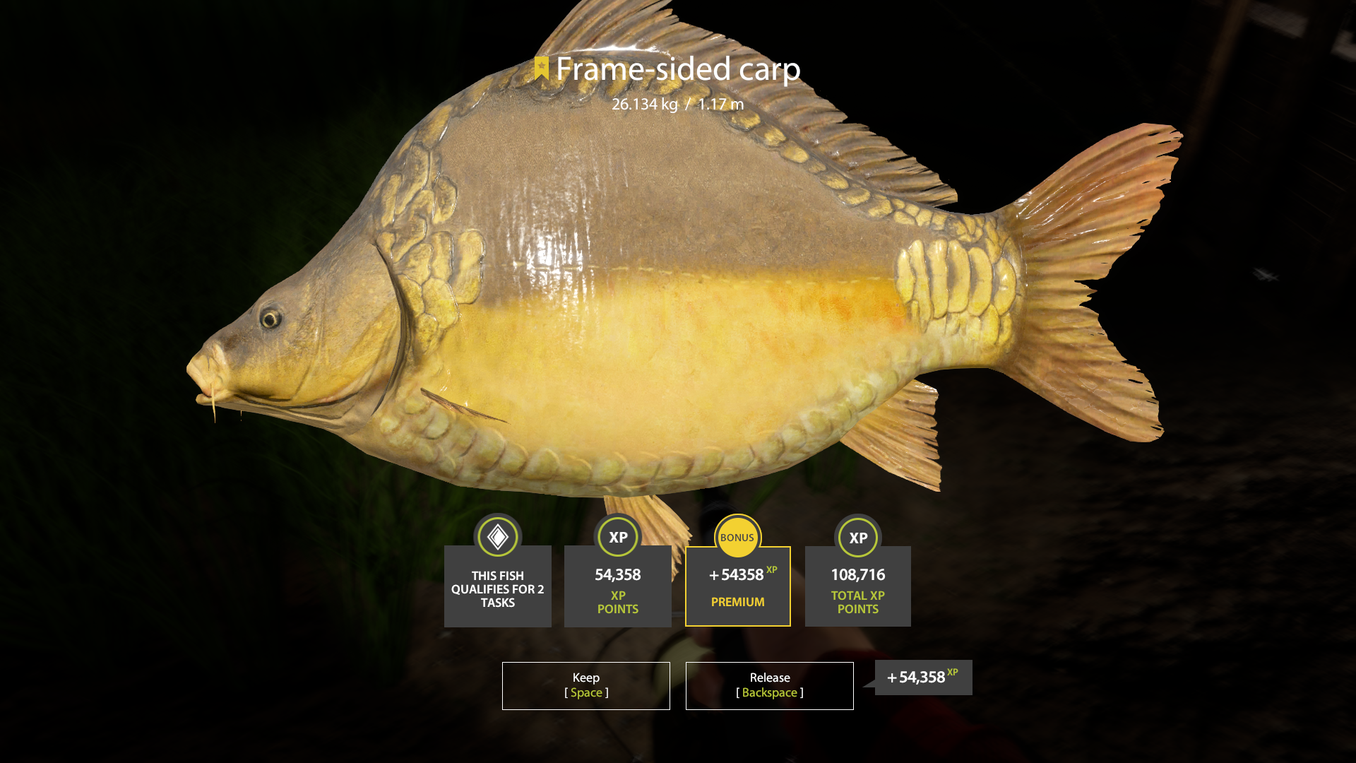 Frame-sided carp | International | Bottom Fishing