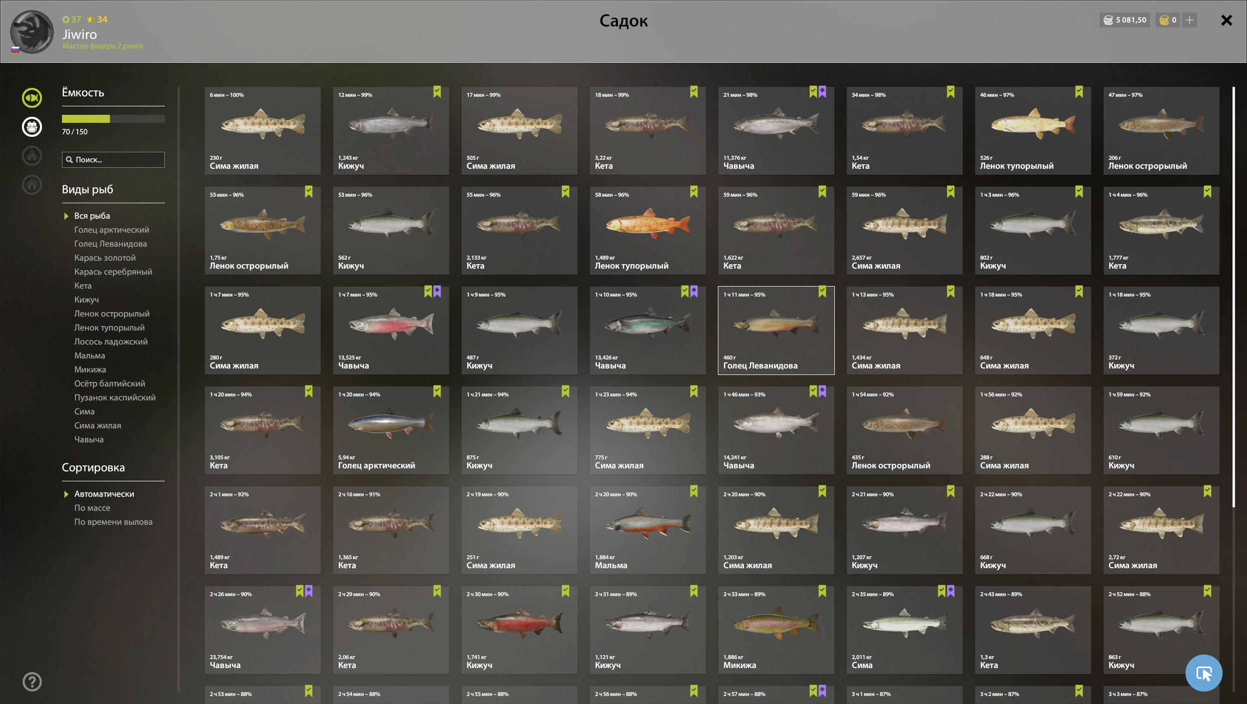 Chinook Salmon | Russia and CIS countries | Spinning