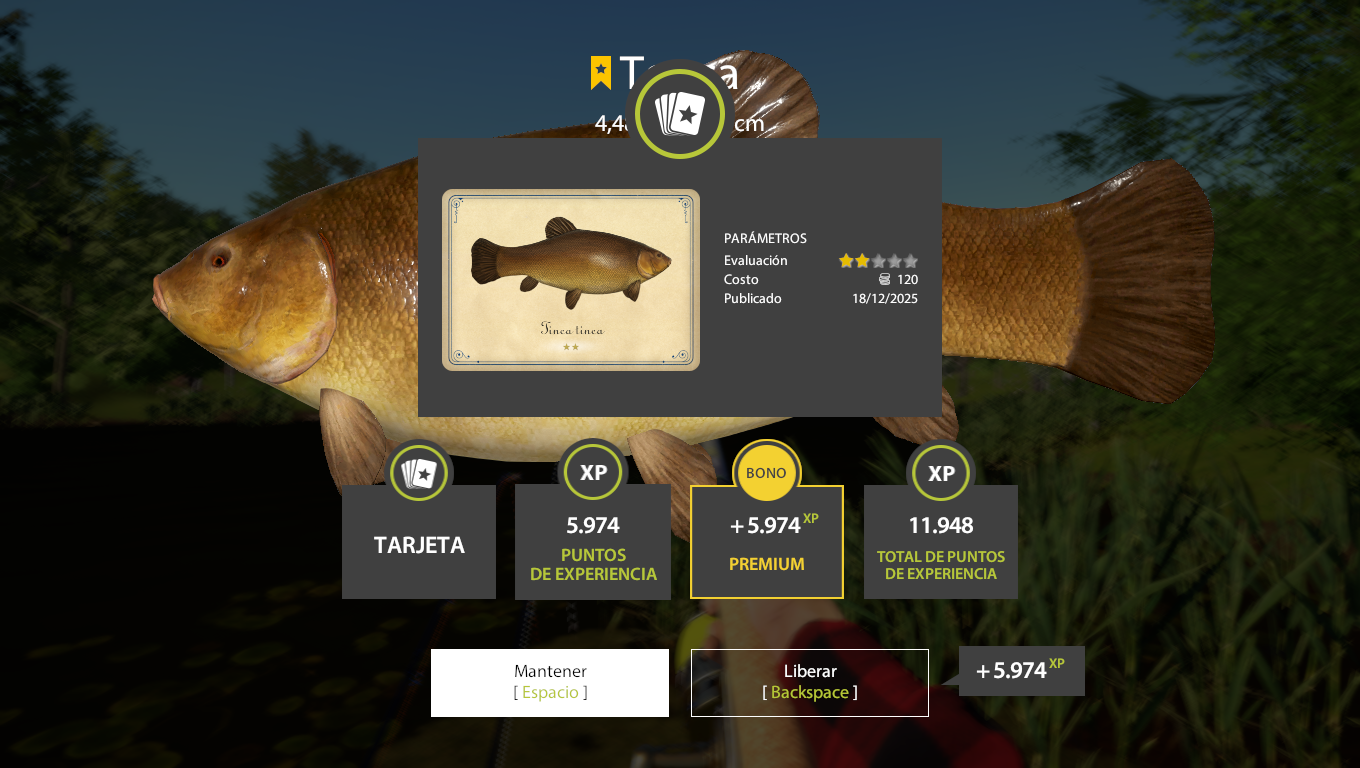 Tench | Other Countries | Bottom Fishing