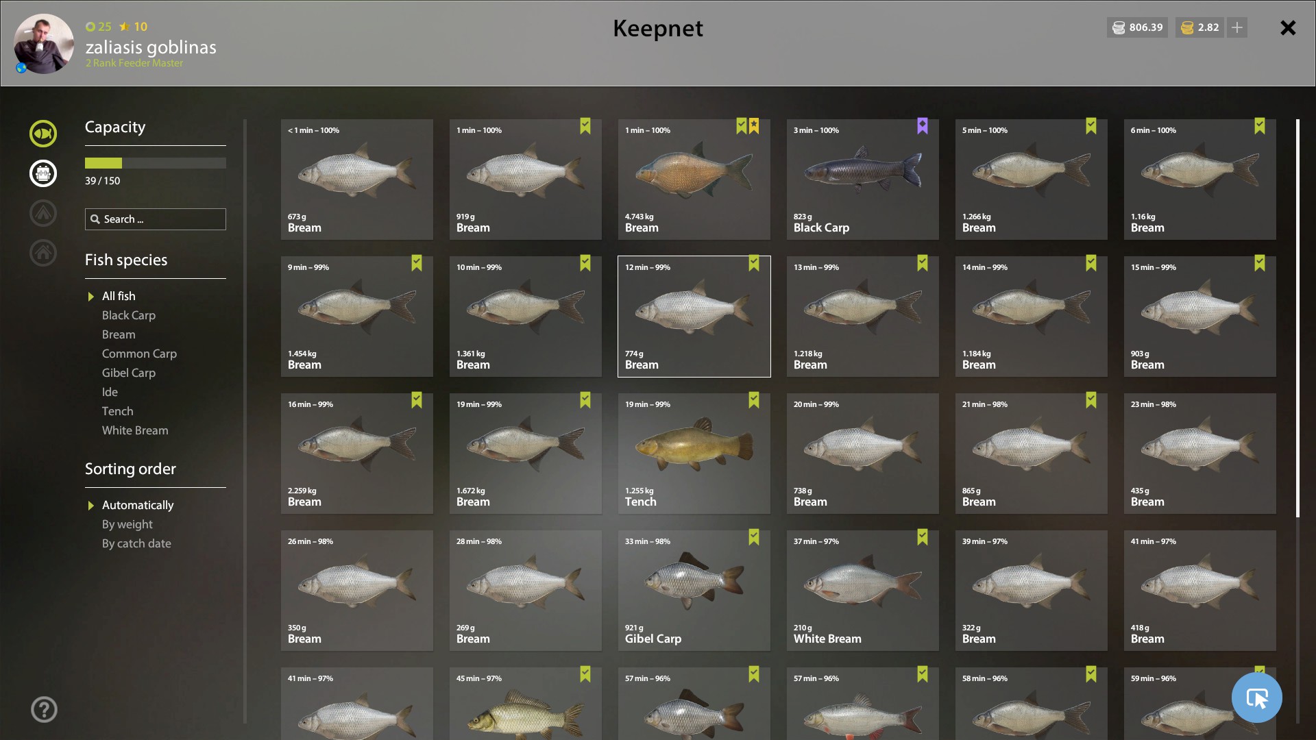 Bream | Other Countries | Bottom Fishing