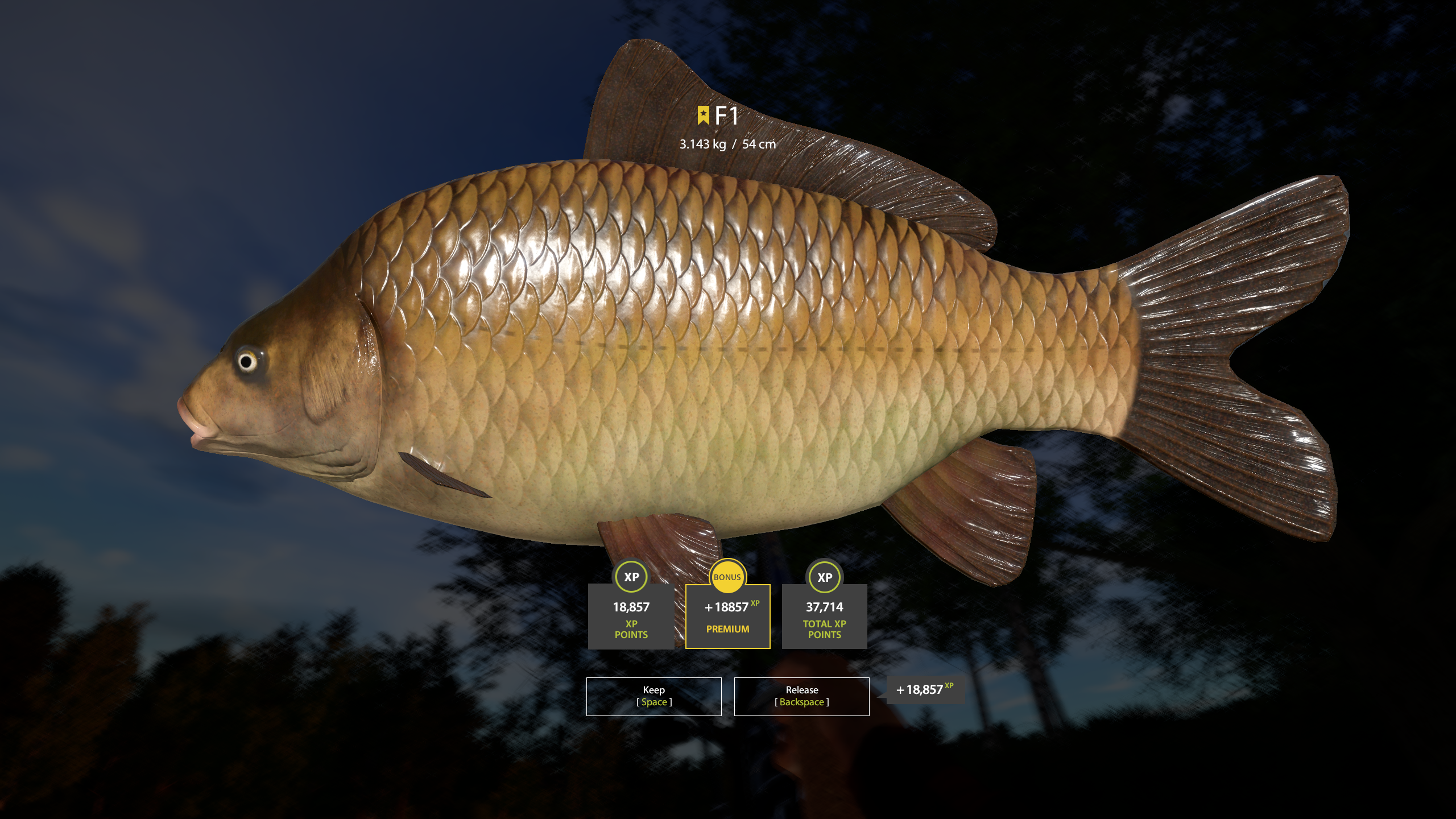 F1 | Other Countries | Bottom Fishing