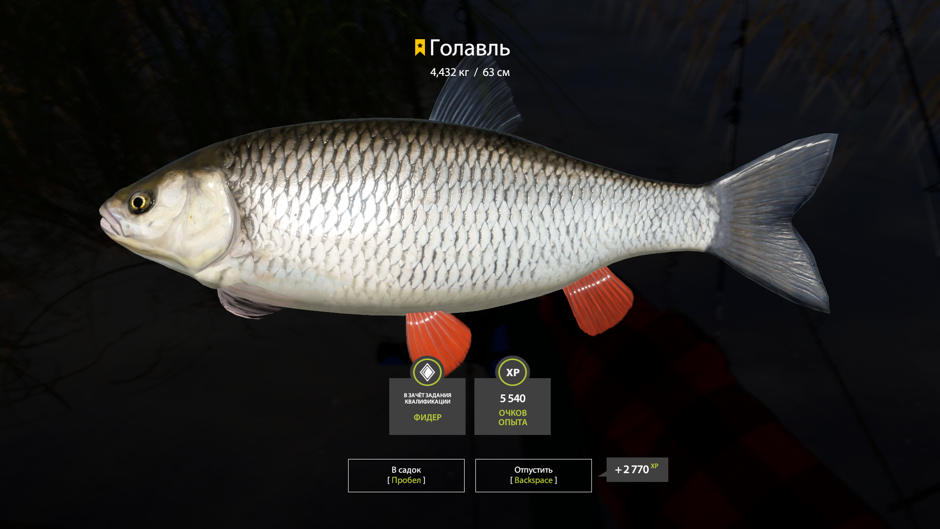 Trophy Winding Rivulet