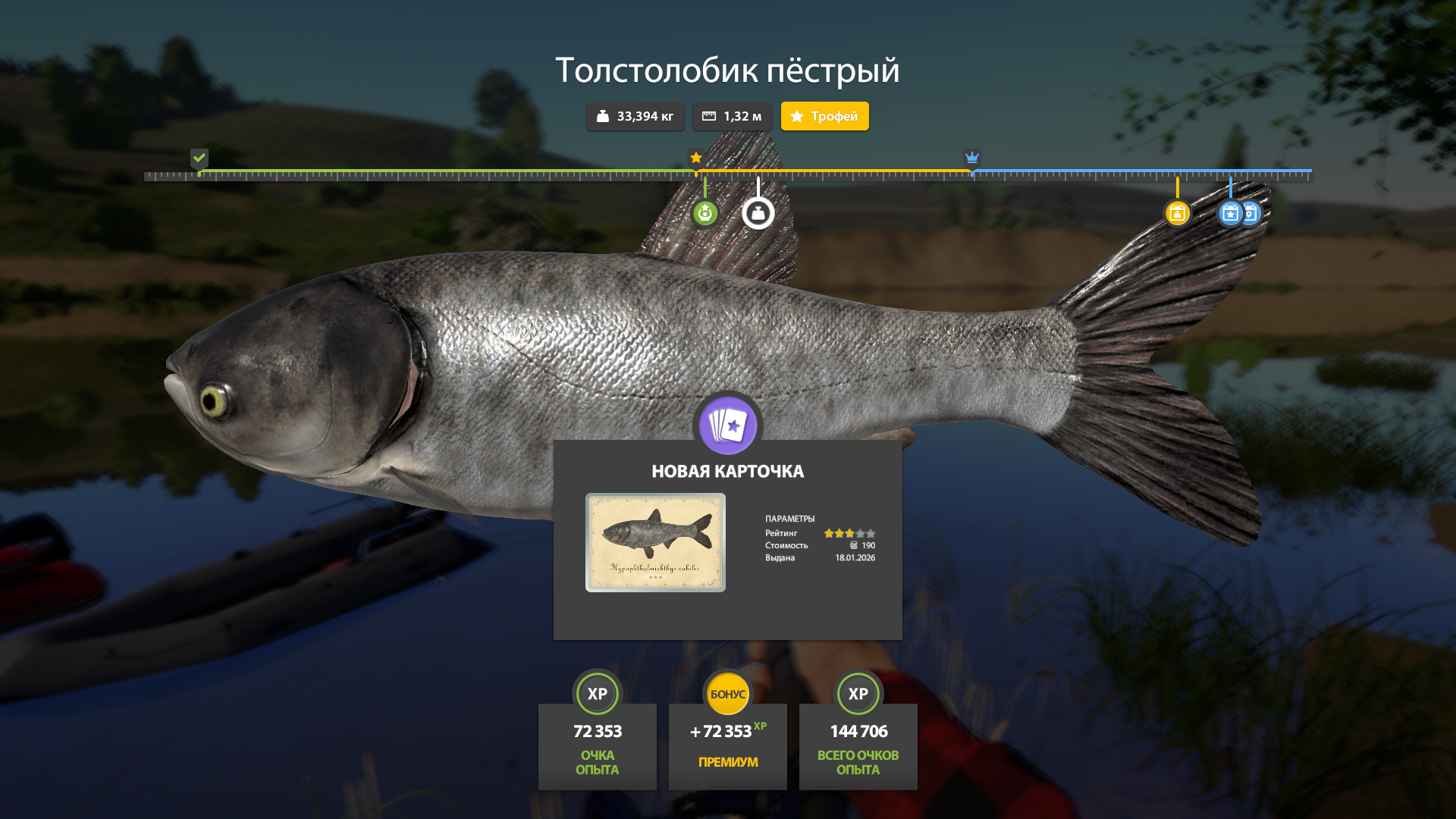 Bighead Carp | Russia and CIS countries | Bottom Fishing