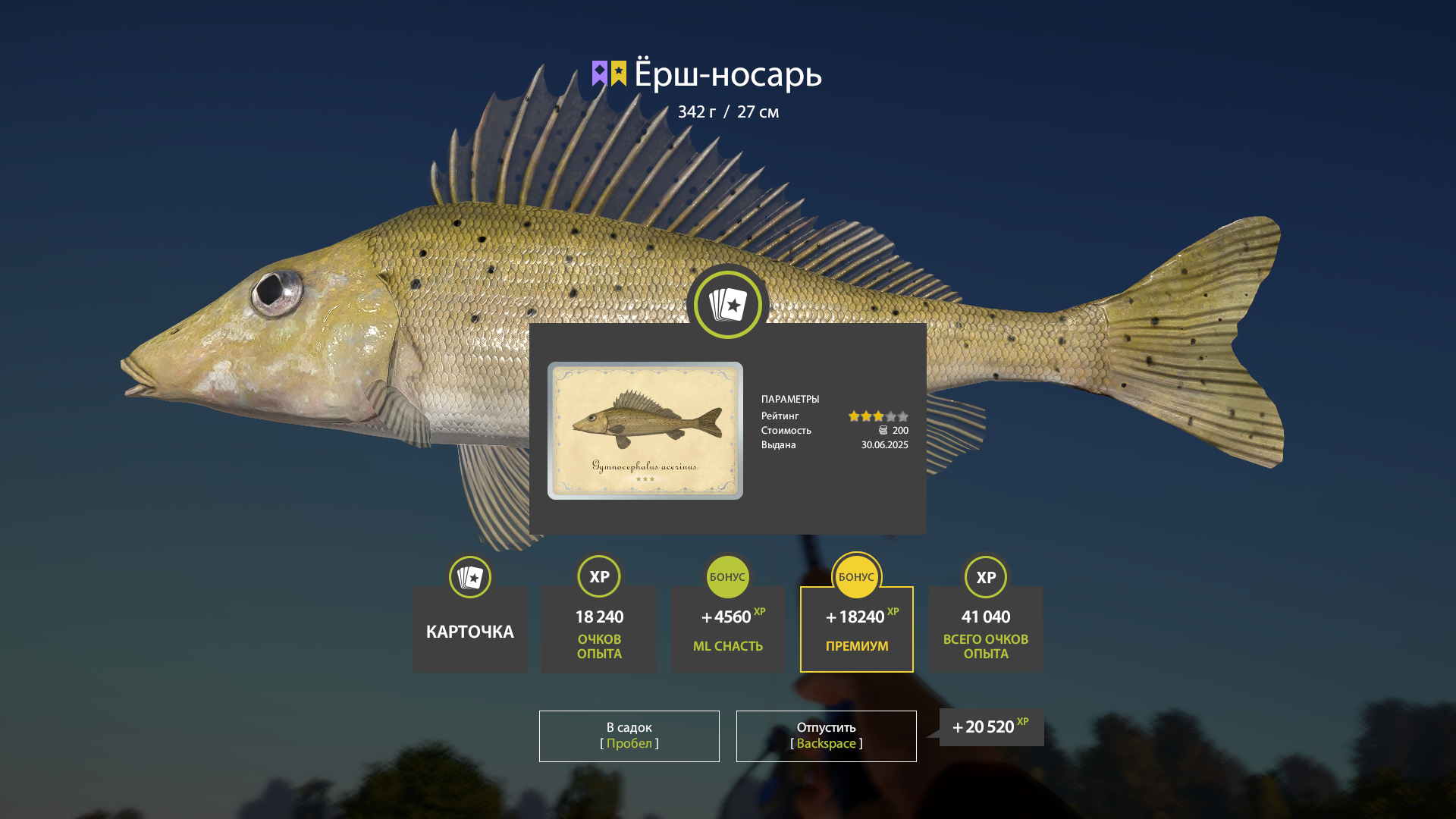 Donets Ruffe | Russia and CIS countries | Bottom Fishing