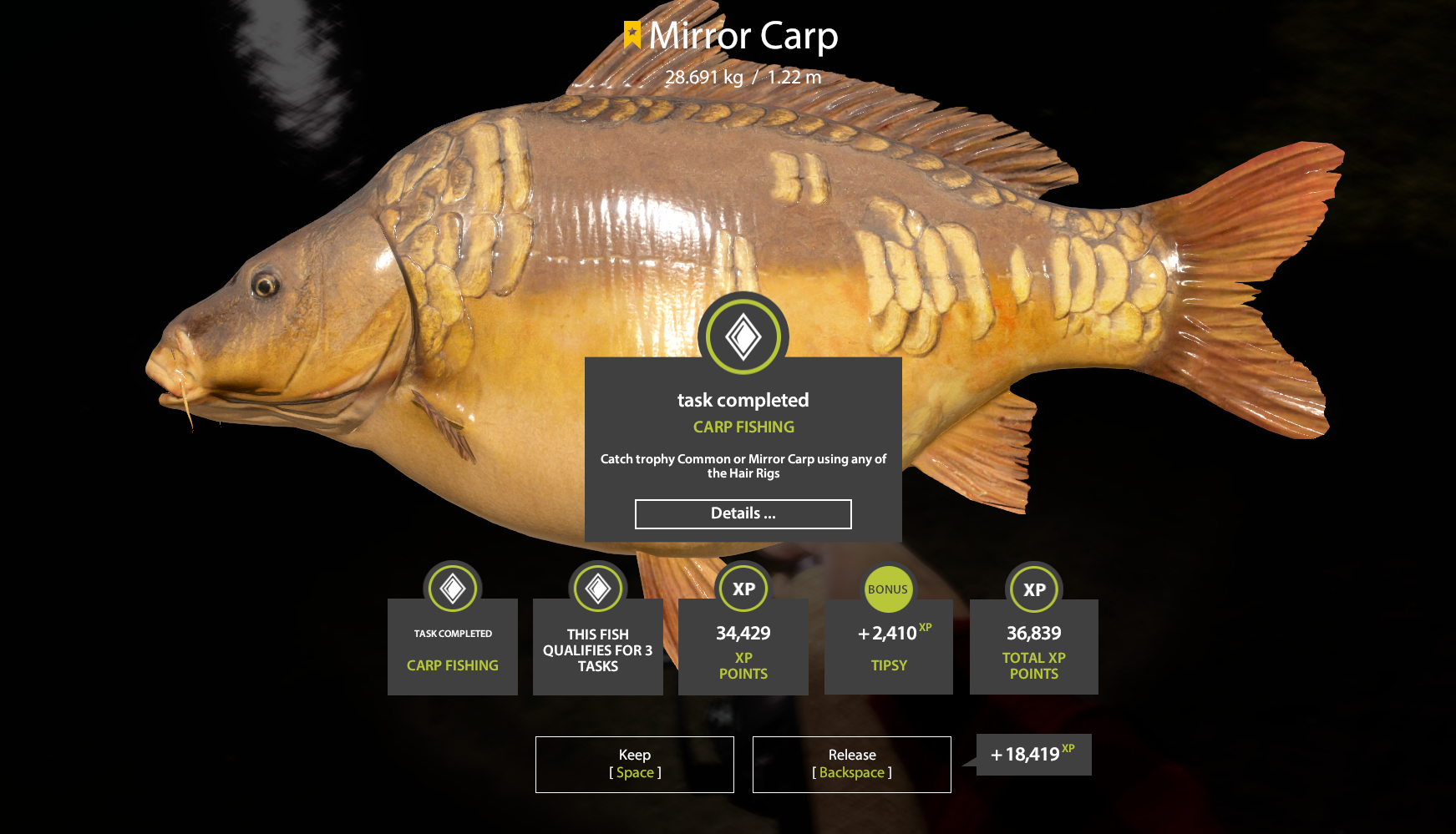 Mirror Carp | Other Countries | Bottom Fishing