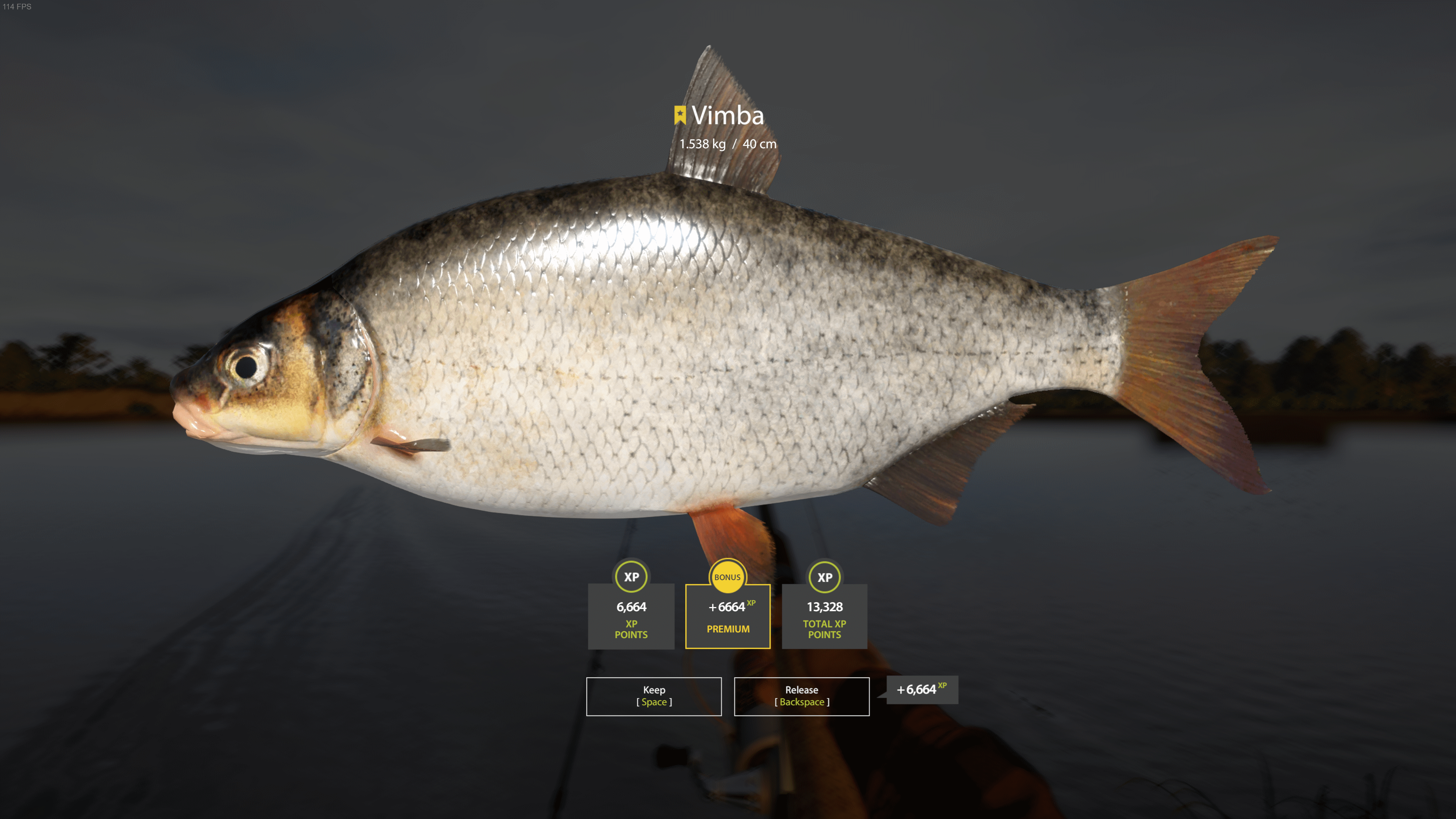 Vimba | Other Countries | Bottom Fishing