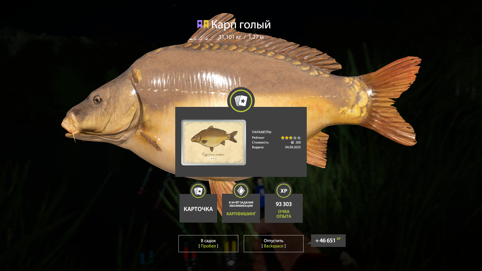 Leather Carp | Russia and CIS countries | Bottom Fishing