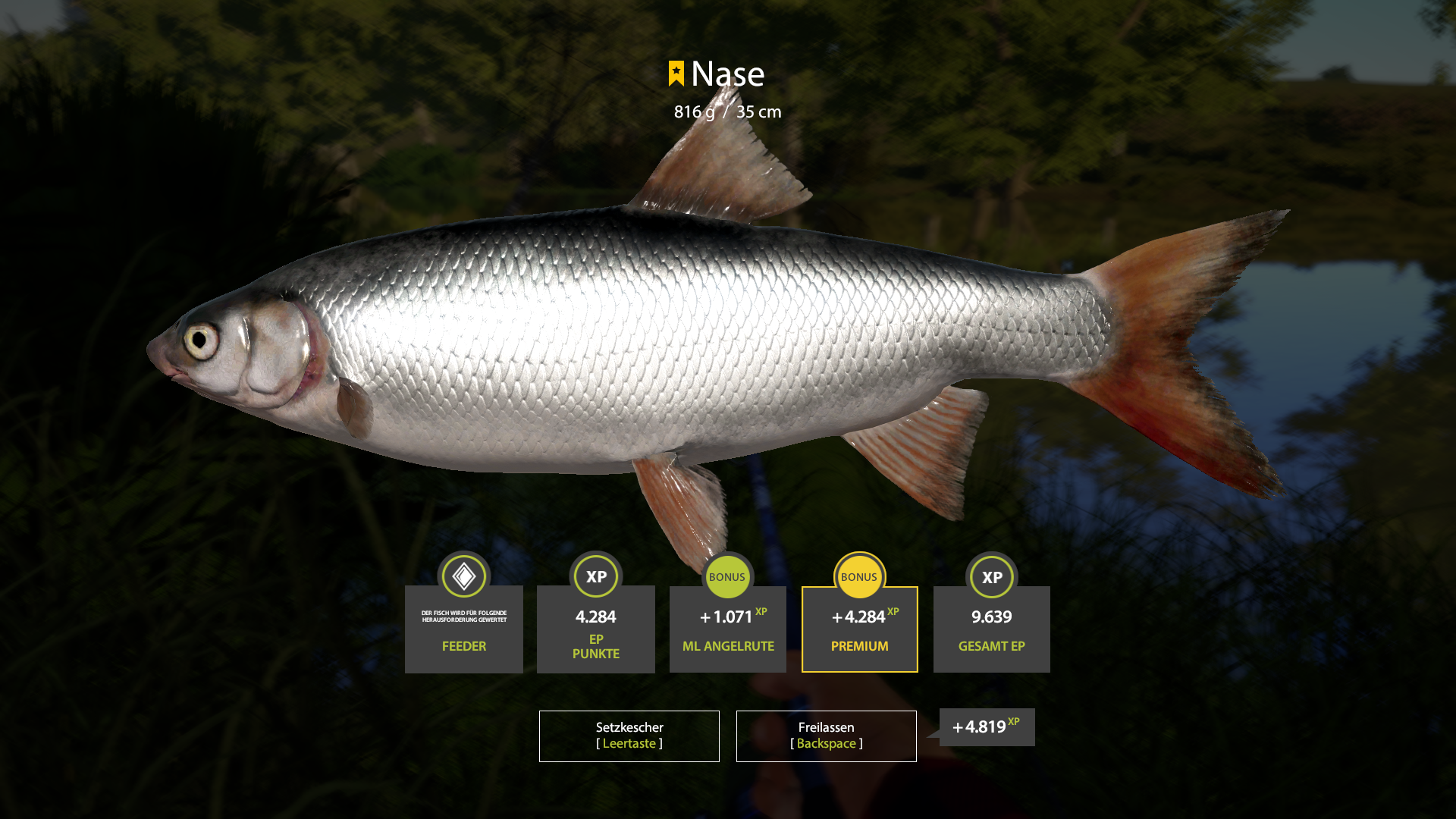 Nase | Germany | Bottom Fishing