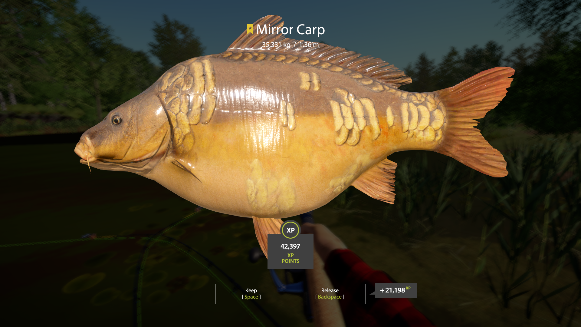 Mirror Carp | Other Countries | Bottom Fishing