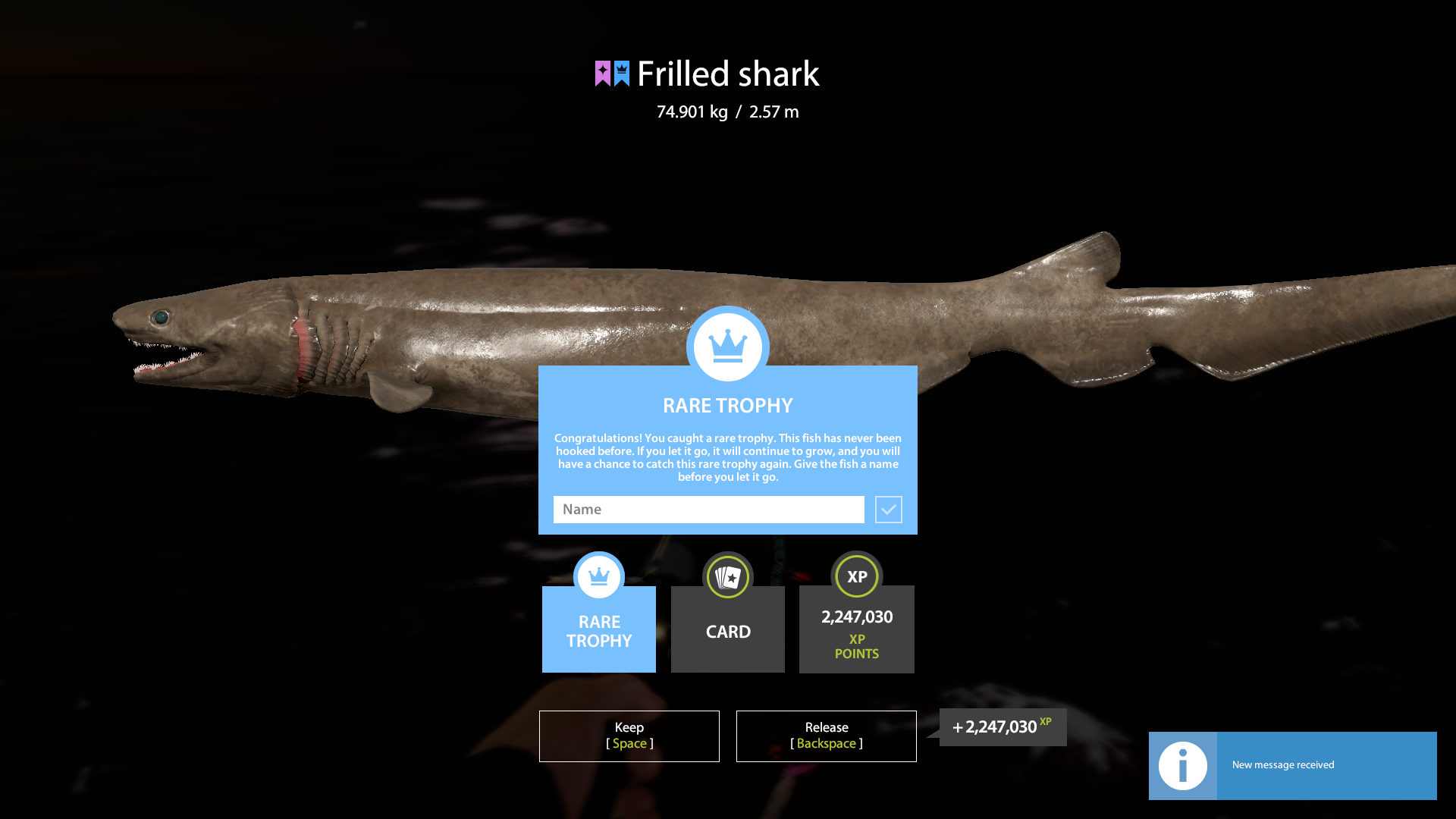 Frilled shark | Other Countries | Marine Fishing