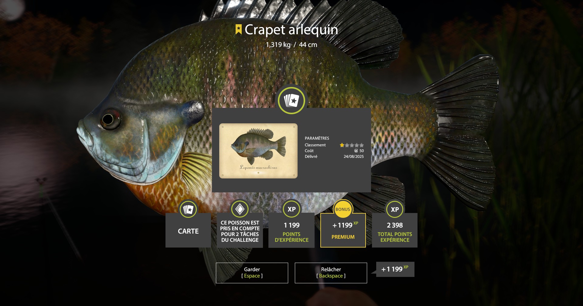 Bluegill | France | Bottom Fishing