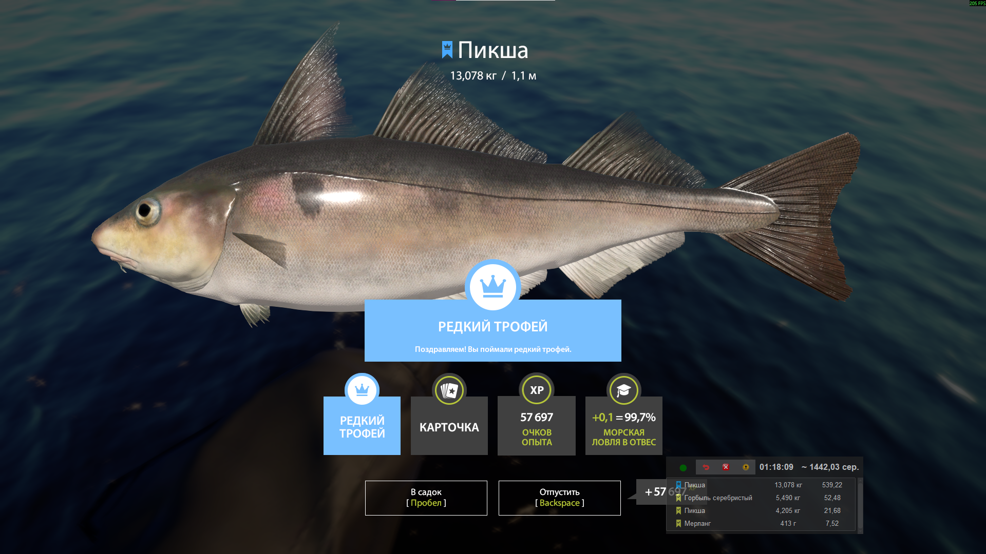 Haddock | Russia and CIS countries | Marine Fishing