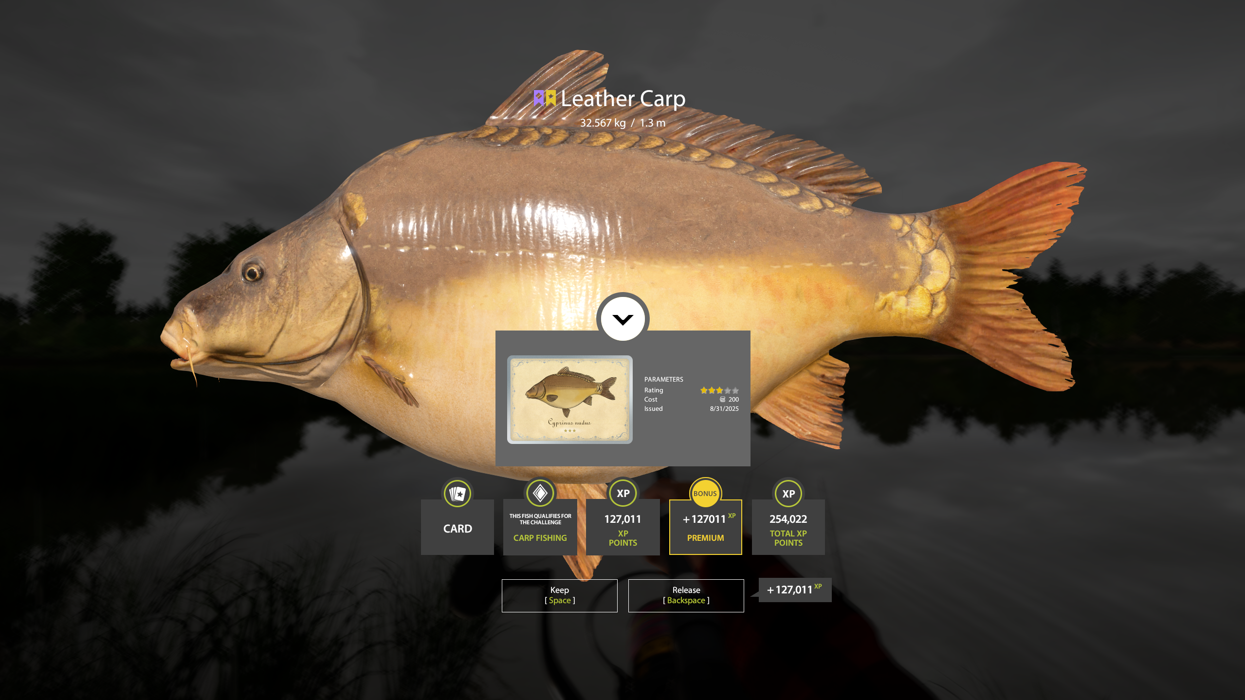 Leather Carp | Other Countries | Bottom Fishing