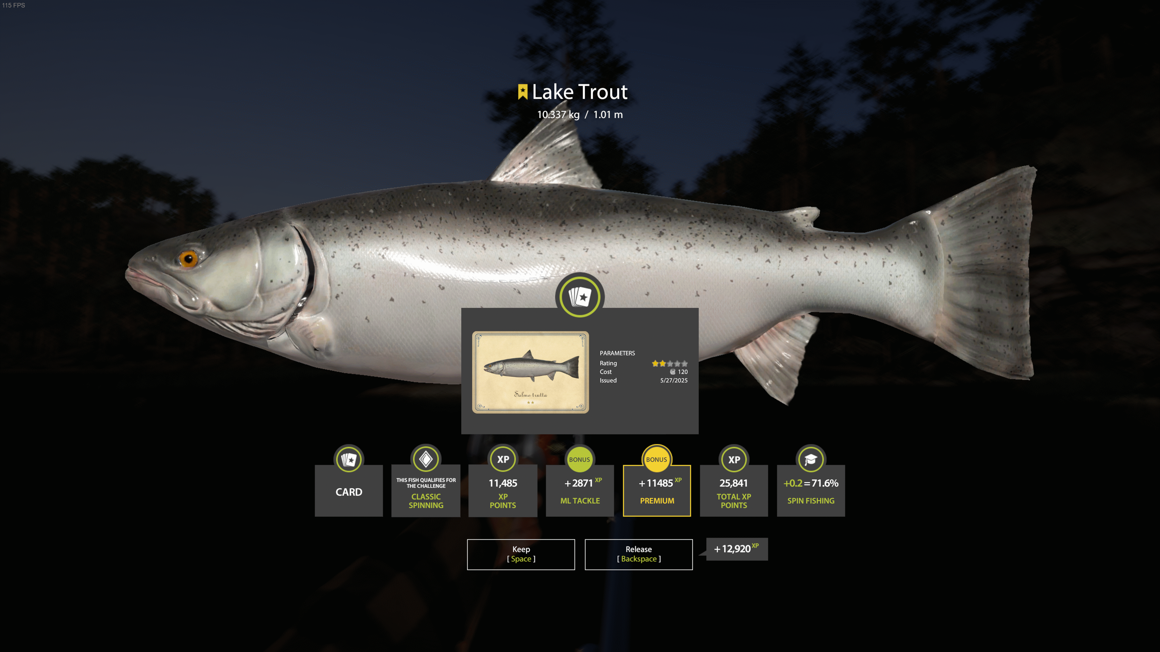 Lake Trout | Other Countries | Spinning