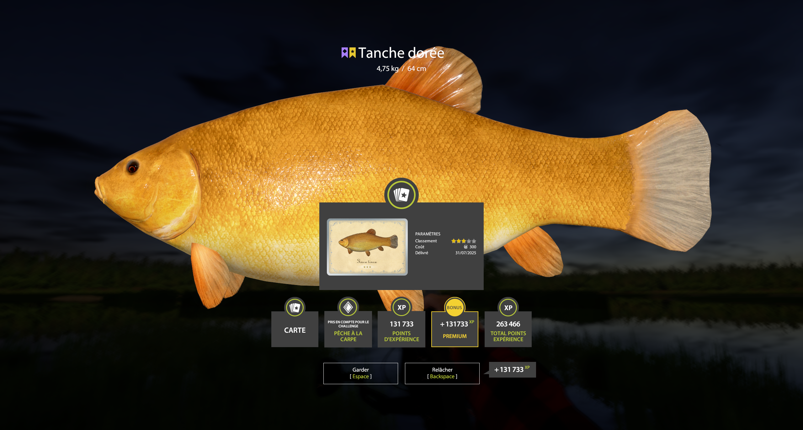Golden Tench | France | Bottom Fishing