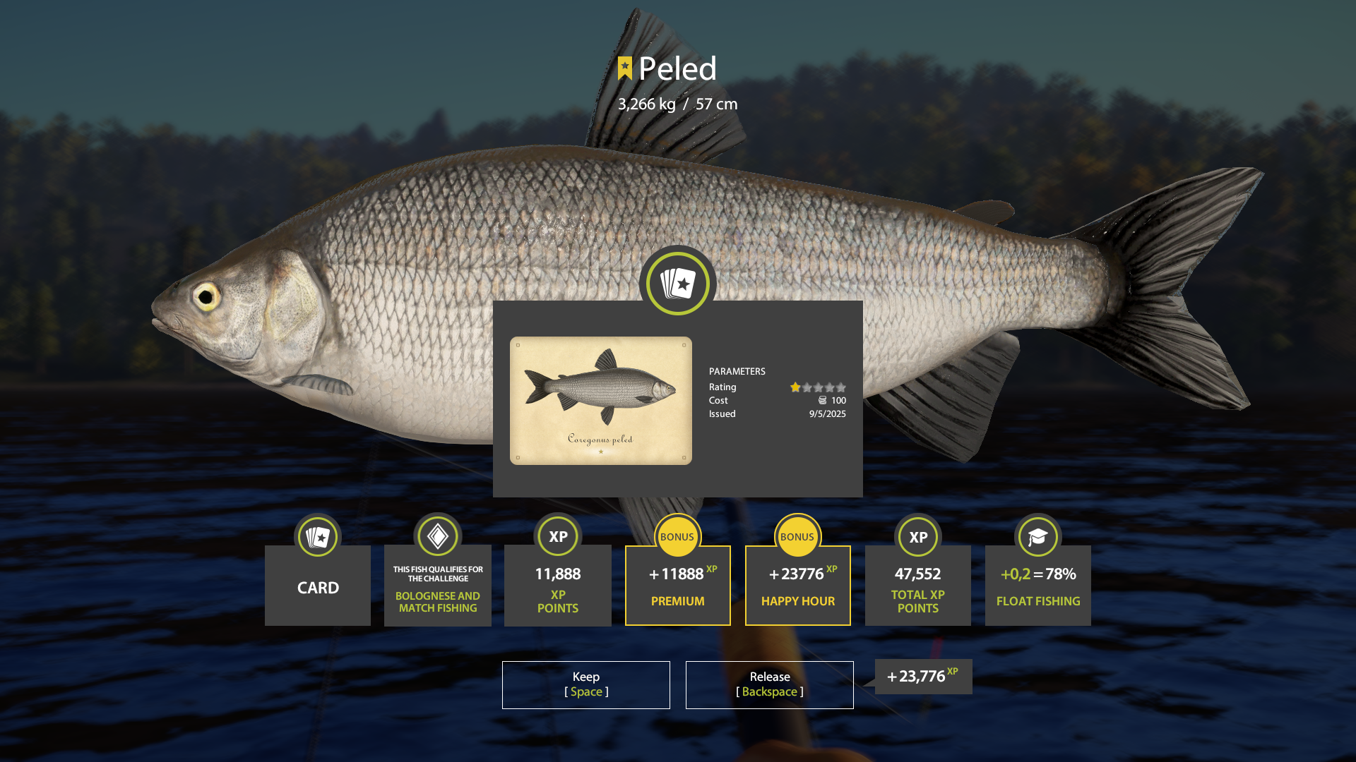 Peled | France | Match Rod Fishing