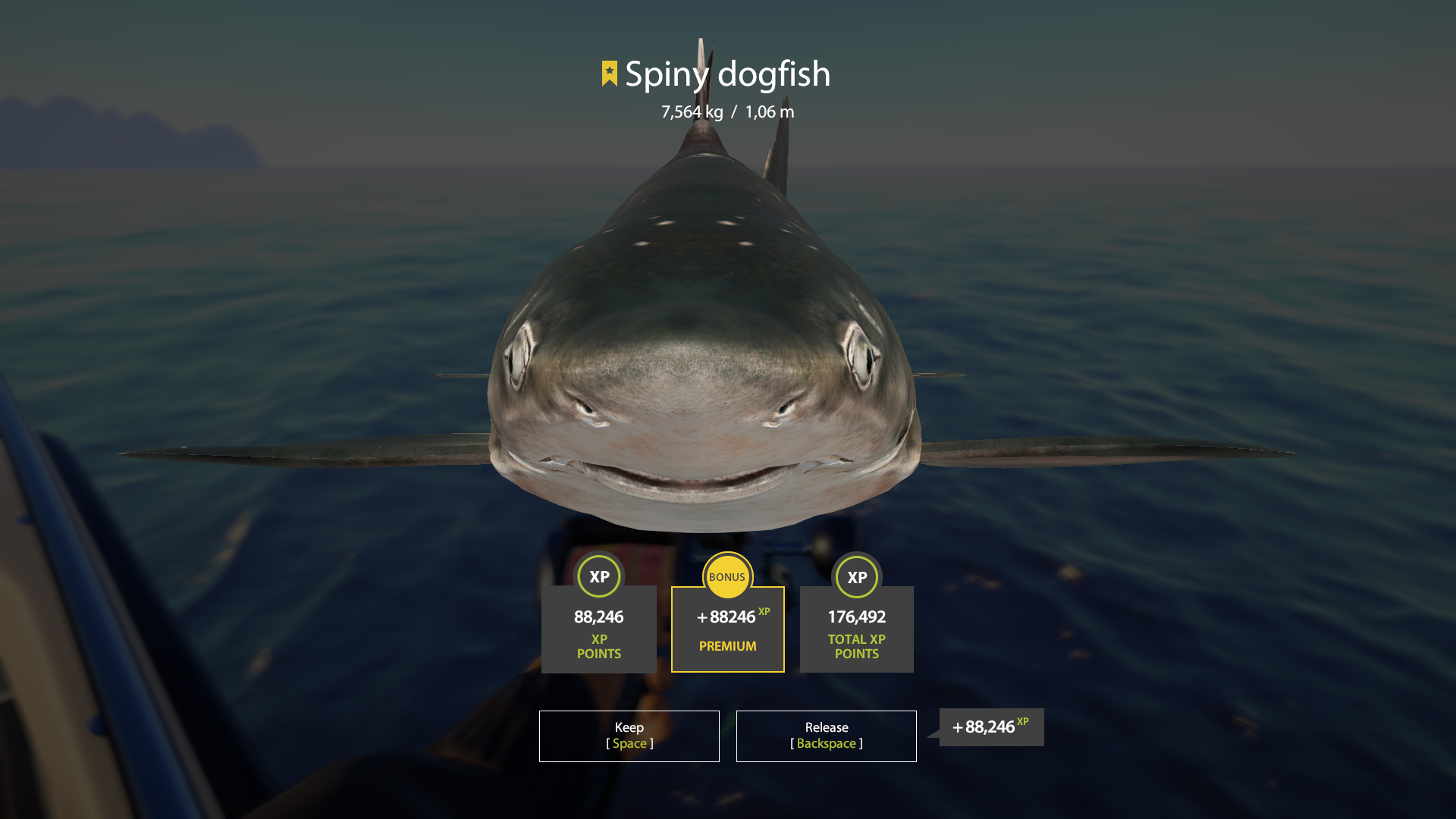 Trophy Norwegian Sea