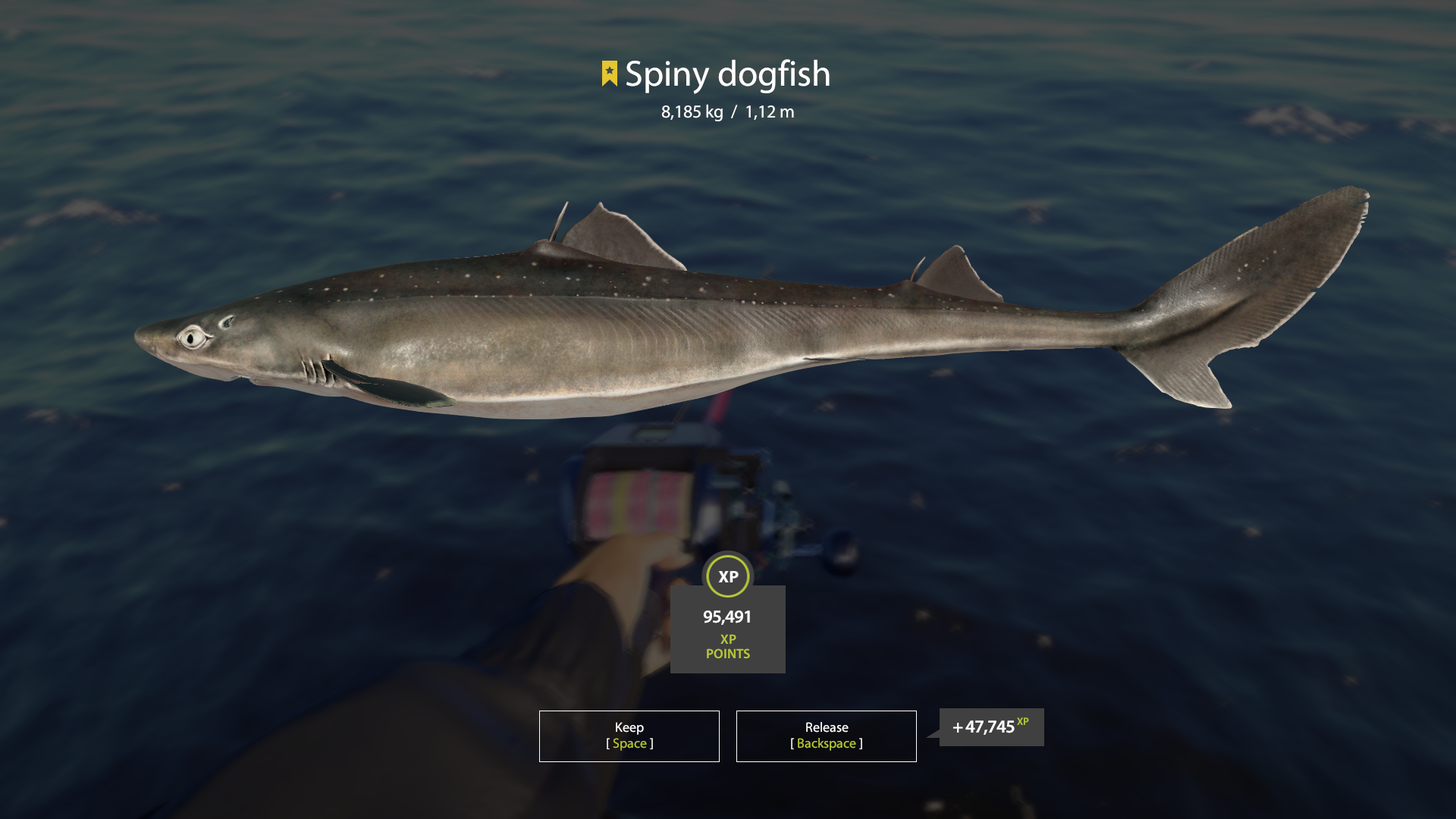 Trophy Norwegian Sea