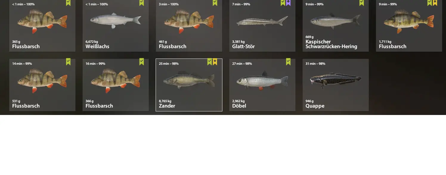 Zander | Germany | Bottom Fishing