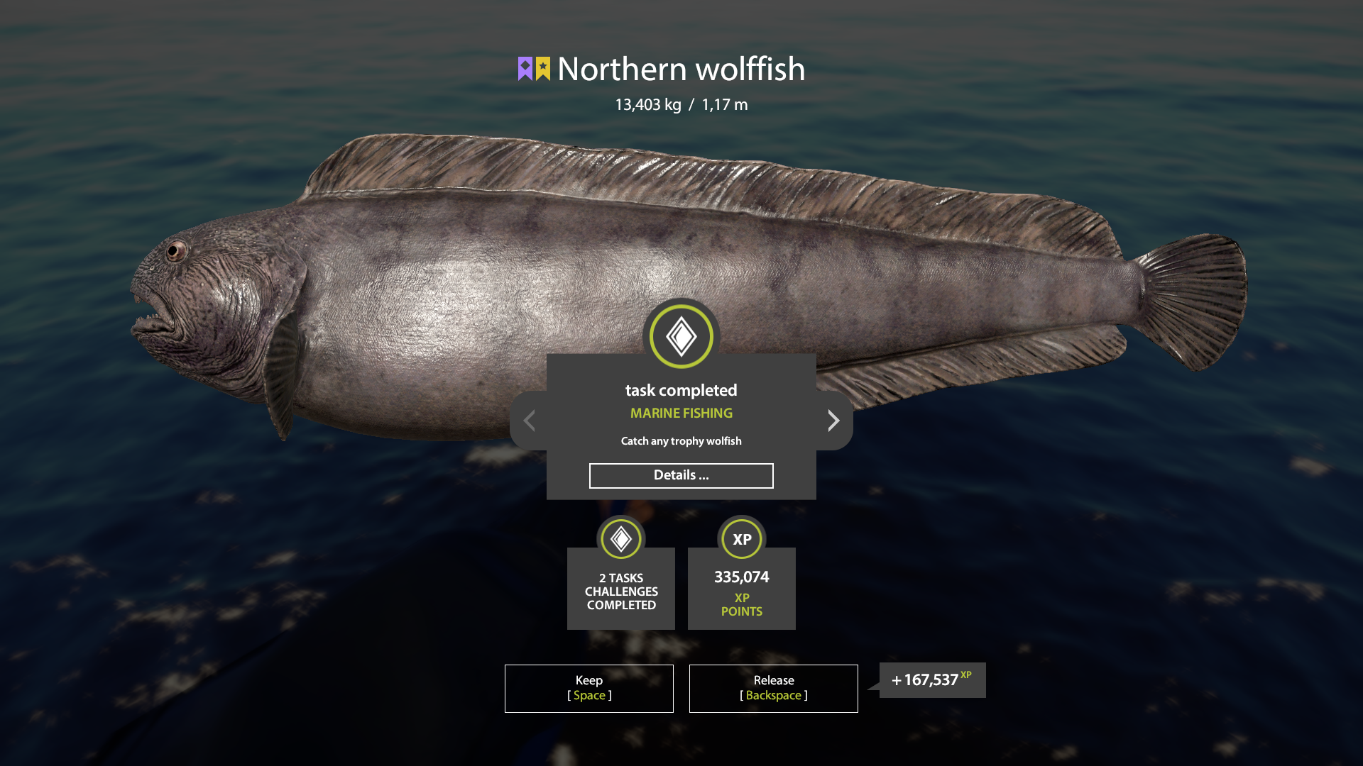 Trophy Norwegian Sea
