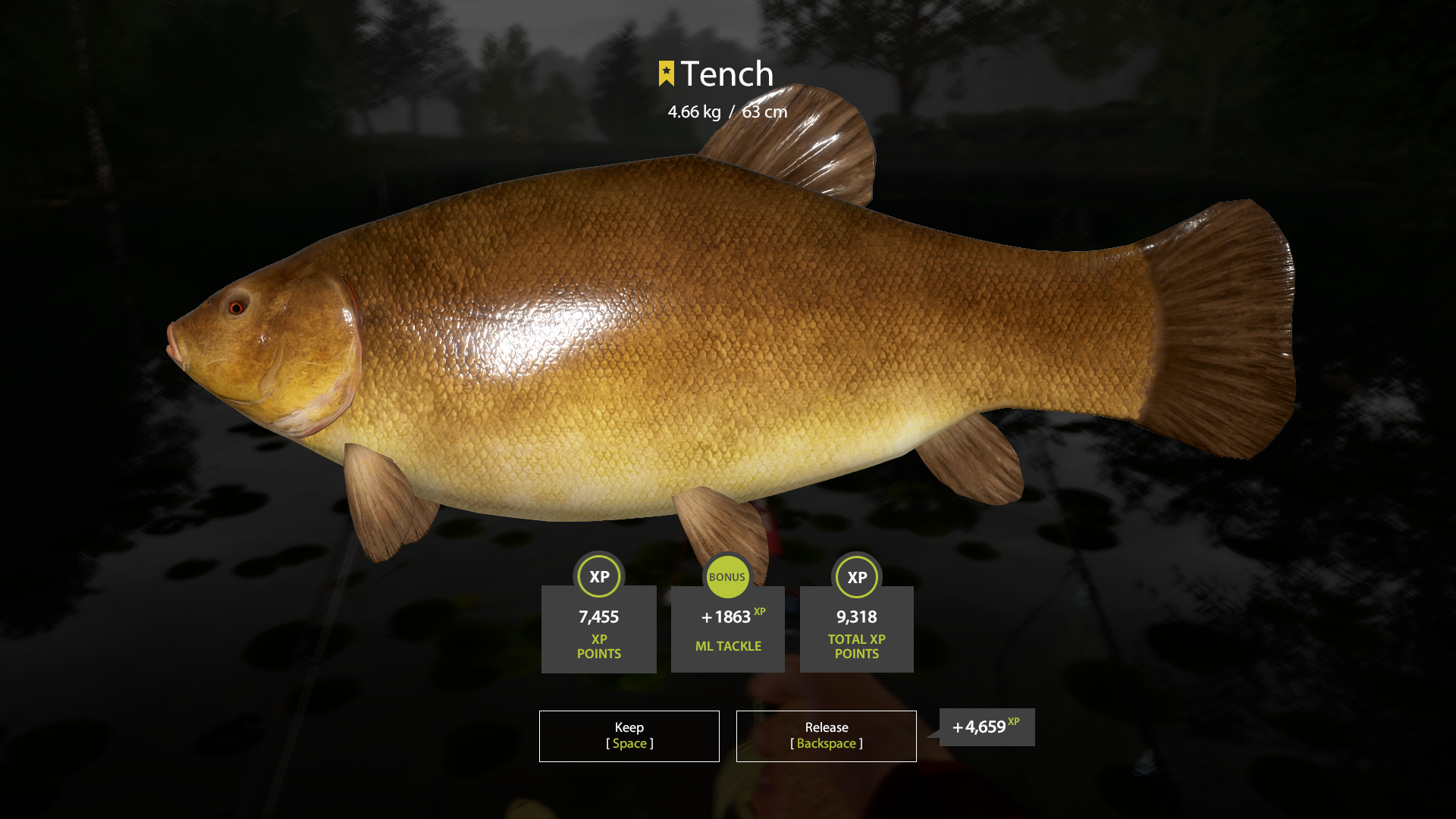 Trophy Copper lake