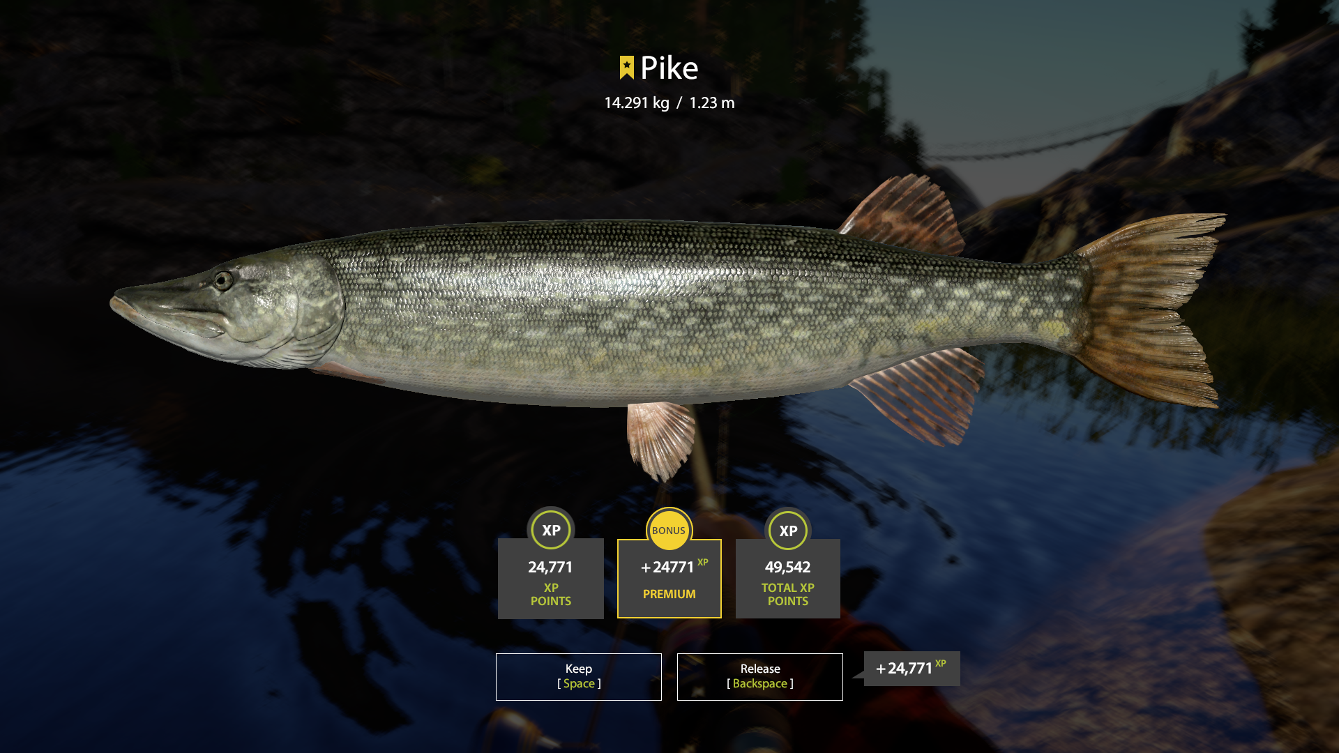 Pike | Other Countries | Bottom Fishing
