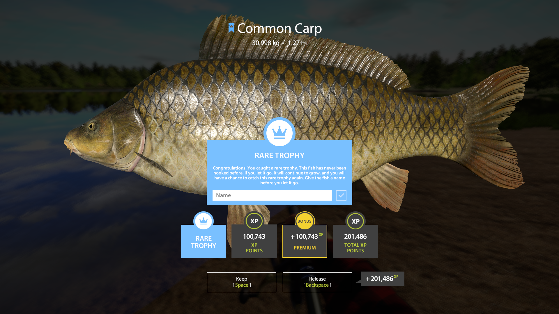 Trophy The Amber Lake