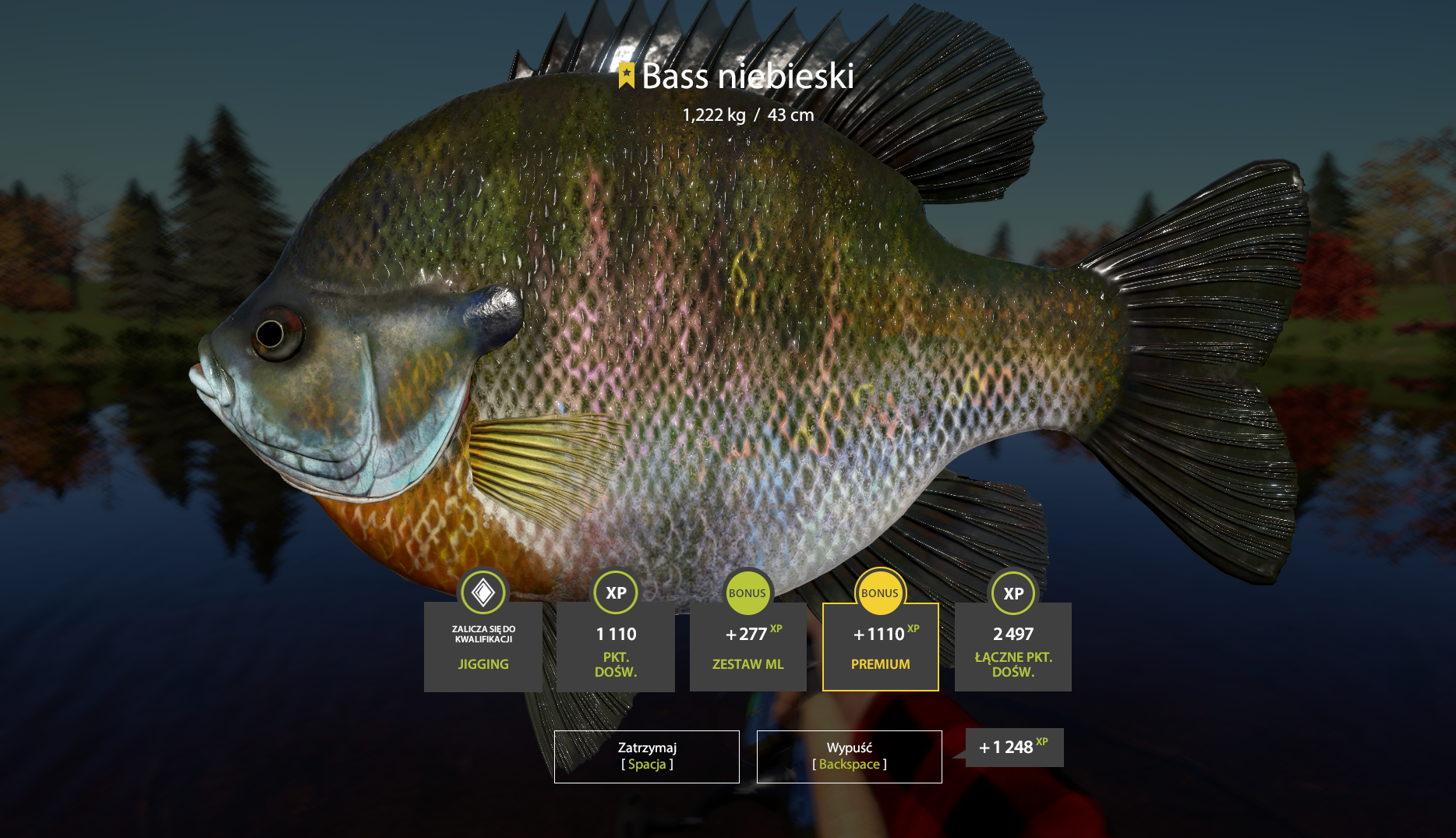 Bluegill | Poland | Spinning