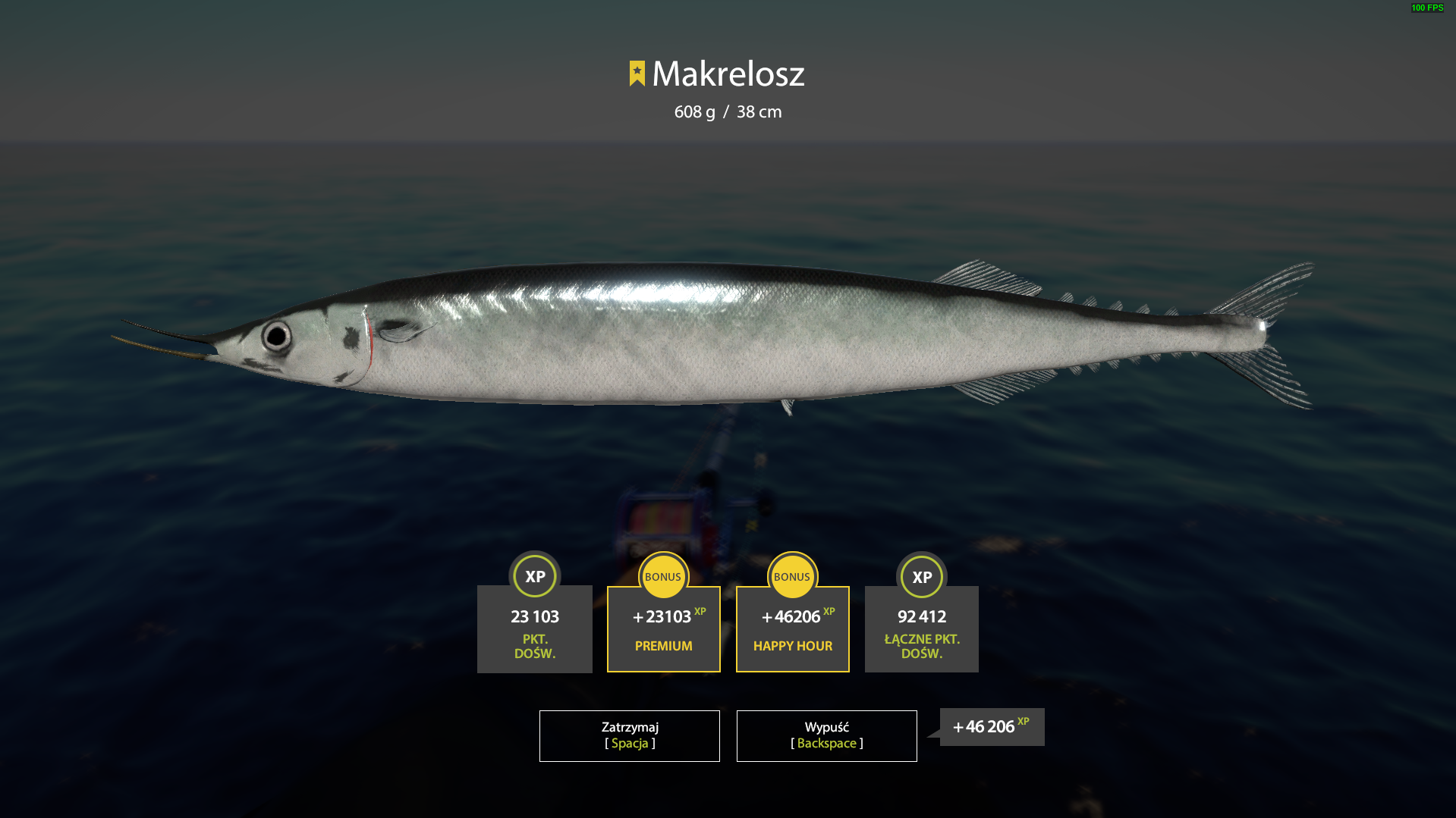 Atlantic saury | Poland | Marine Fishing