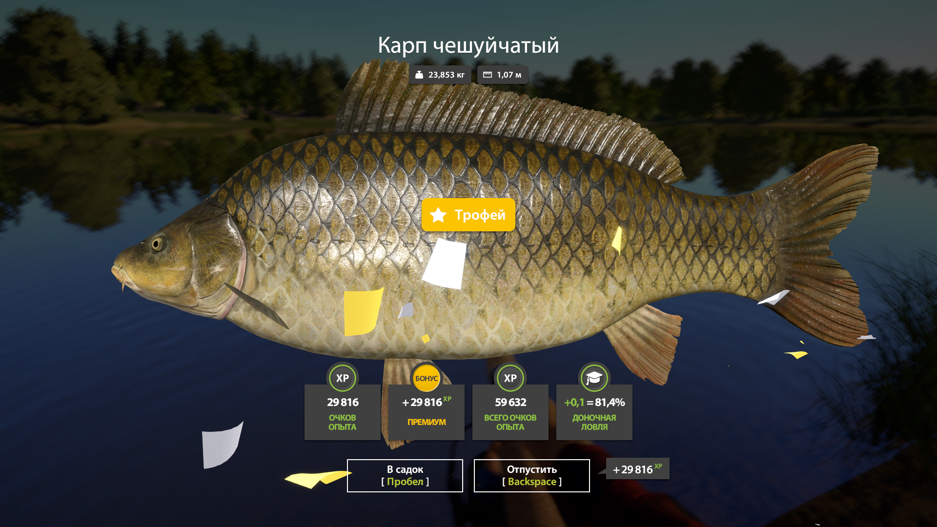 Common Carp | Russia and CIS countries | Bottom Fishing