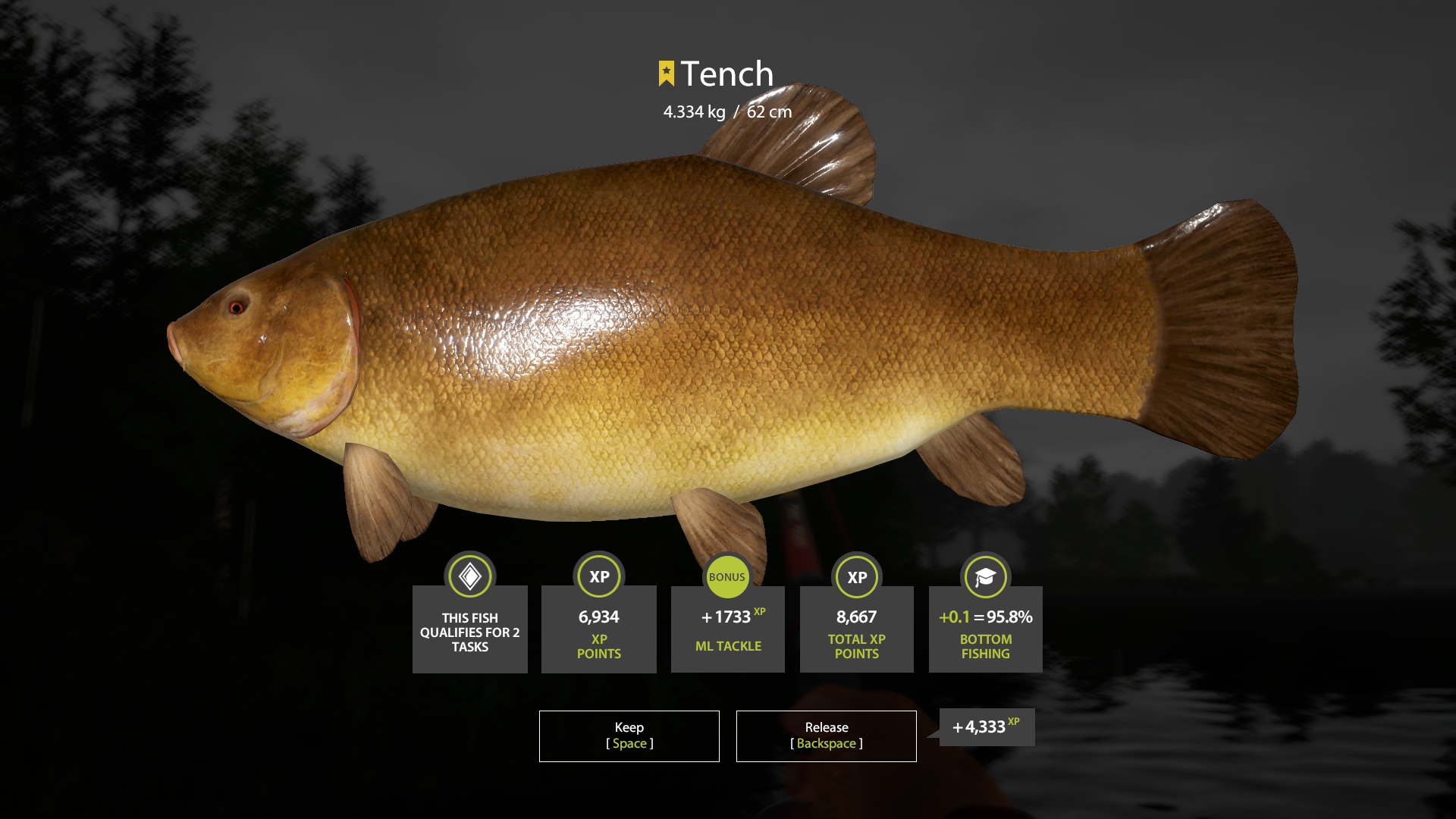 Tench | Other Countries | Bottom Fishing