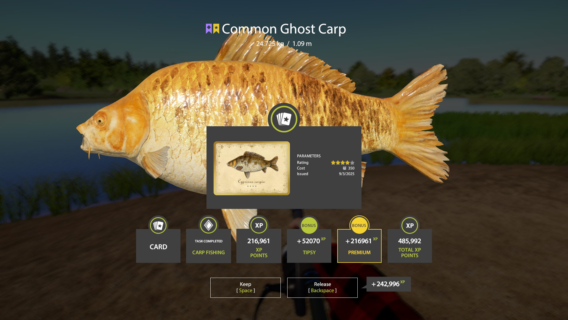 Trophy The Amber Lake