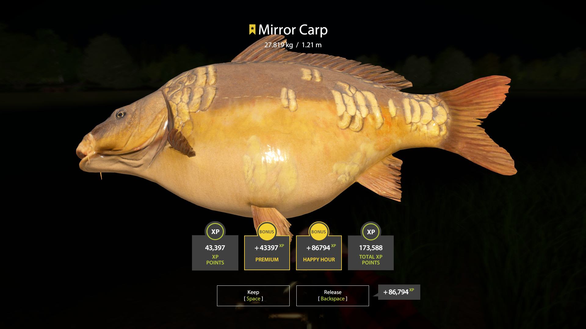 Trophy The Amber Lake