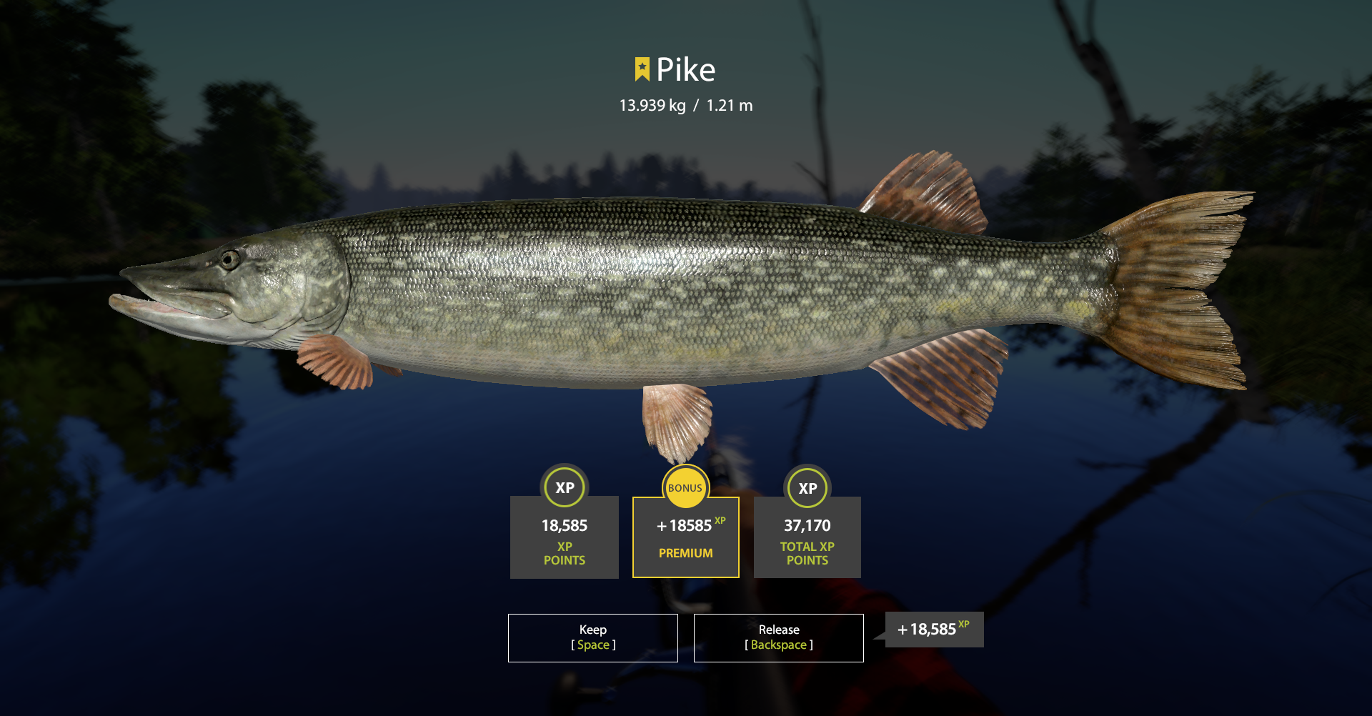 Pike | Other Countries | Spinning