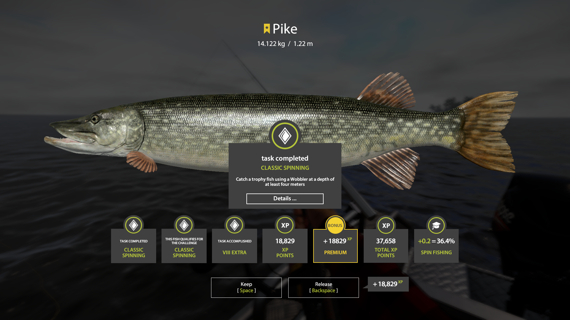 Pike | Other Countries | Spinning