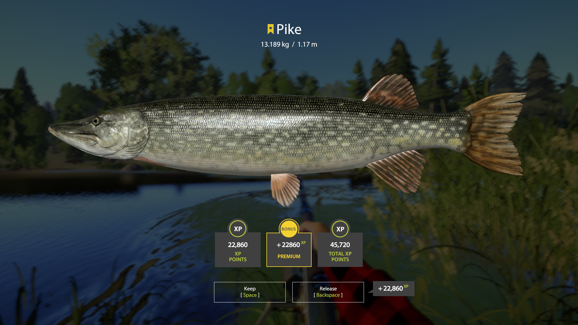 Pike | Other Countries | Bottom Fishing