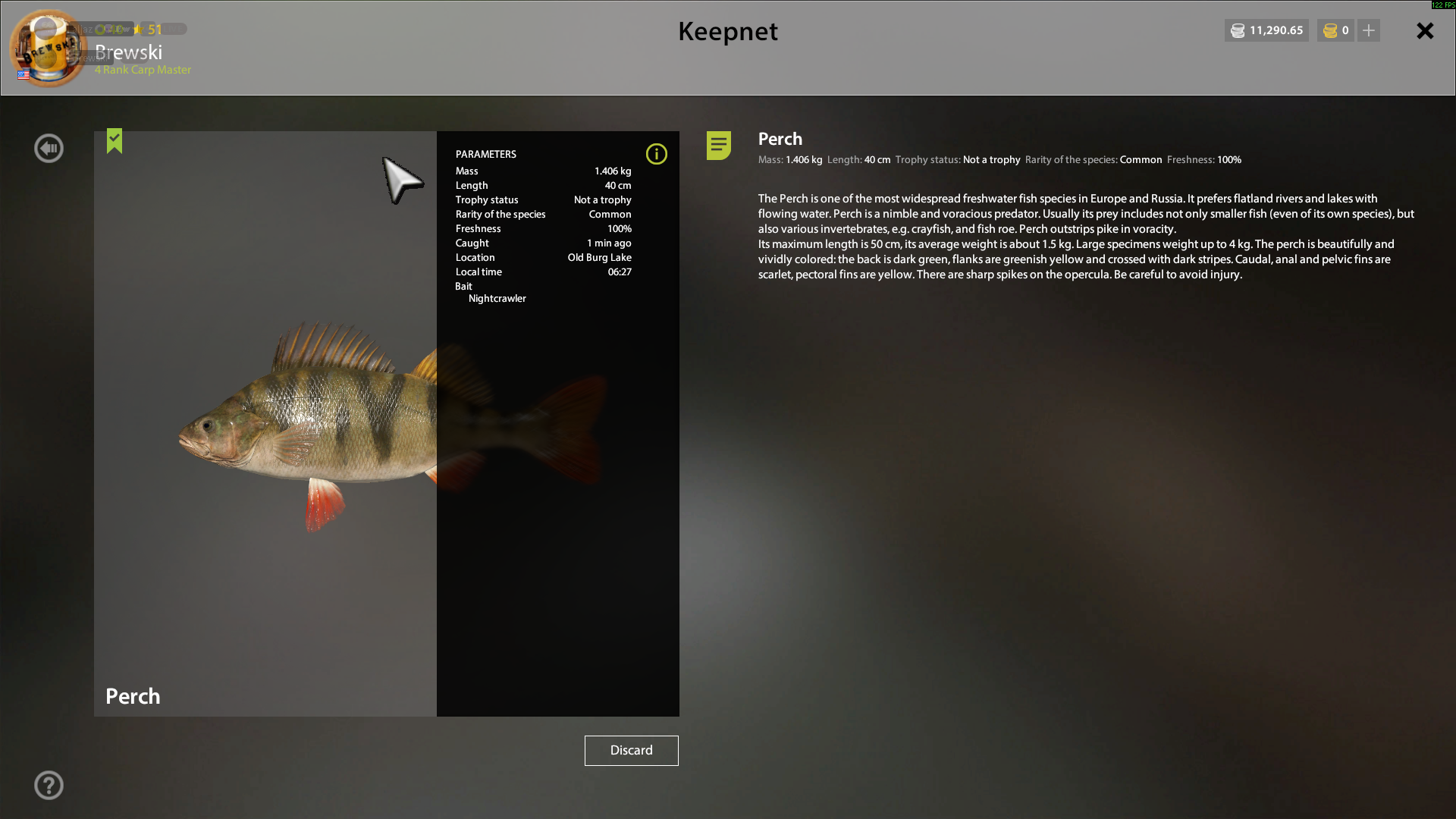 Perch | USA | Bottom Fishing