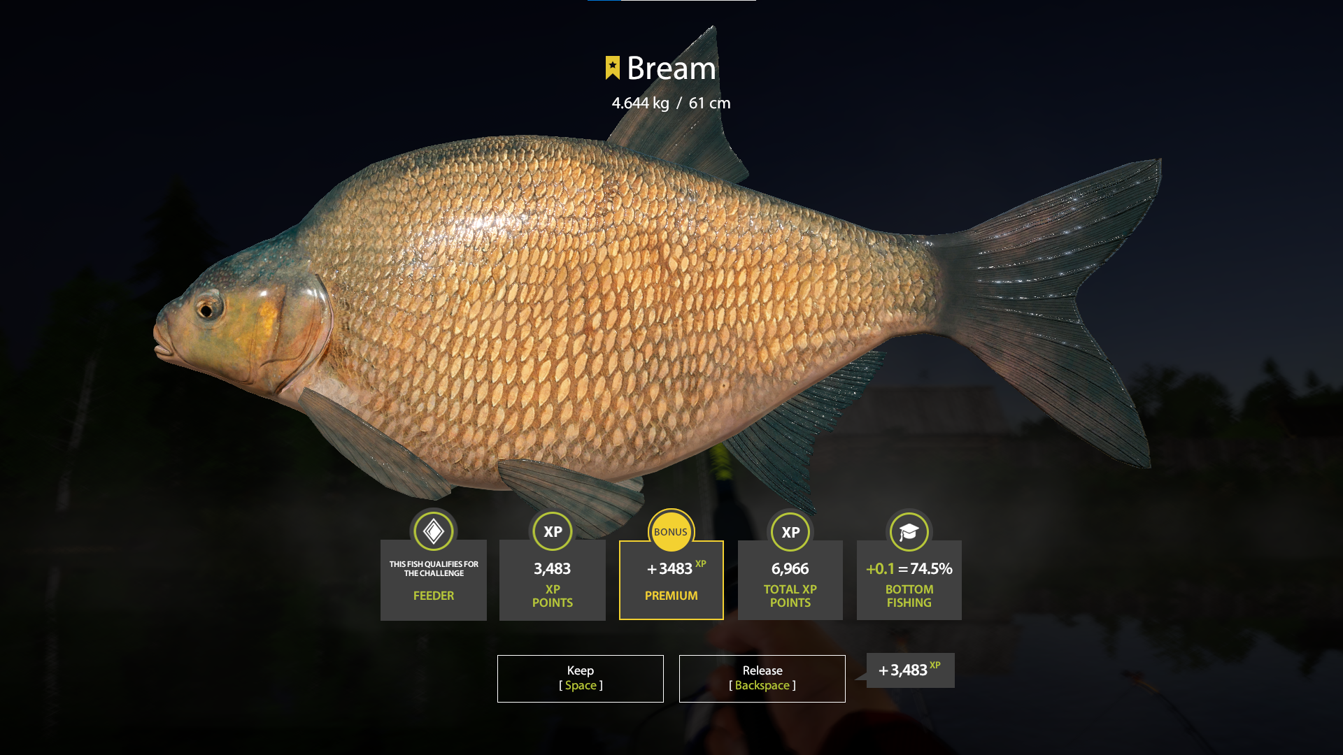 Bream | Other Countries | Bottom Fishing