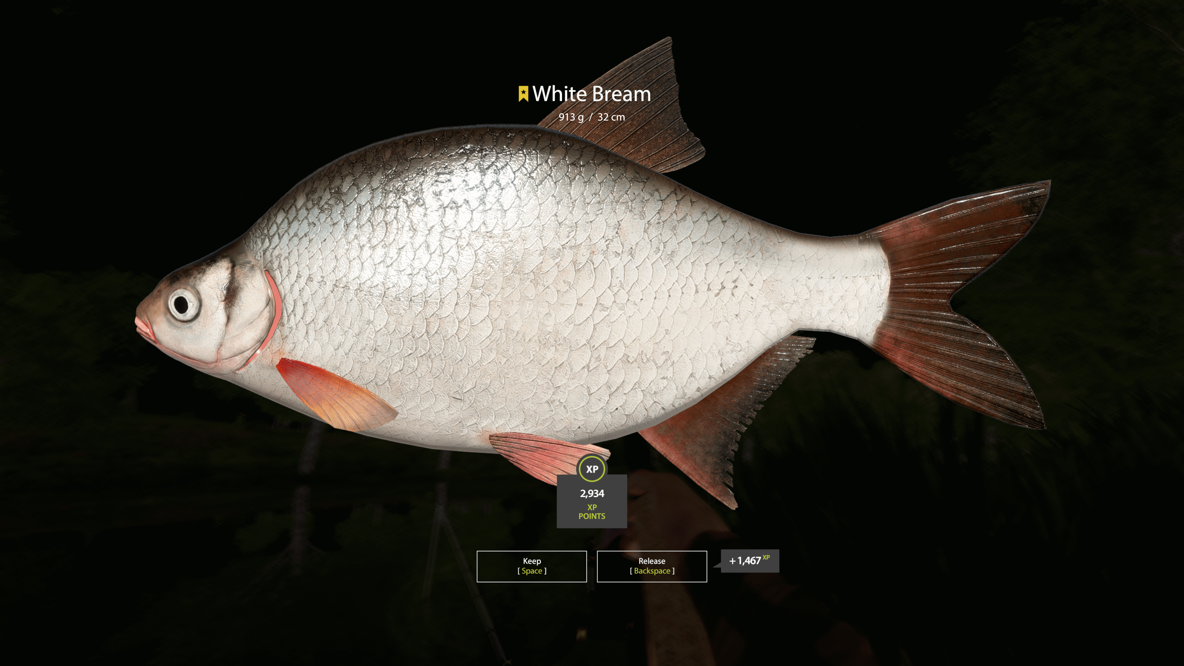 White-eye Bream | Other Countries | Bottom Fishing