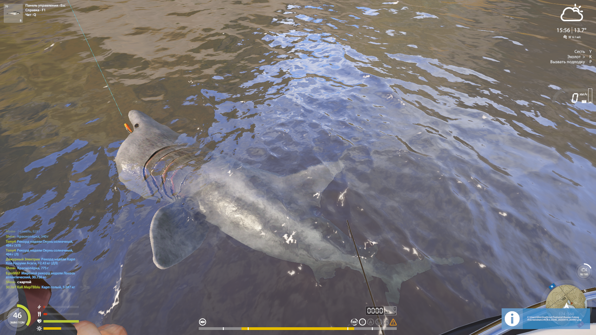Basking shark | Russia and CIS countries | Marine Fishing