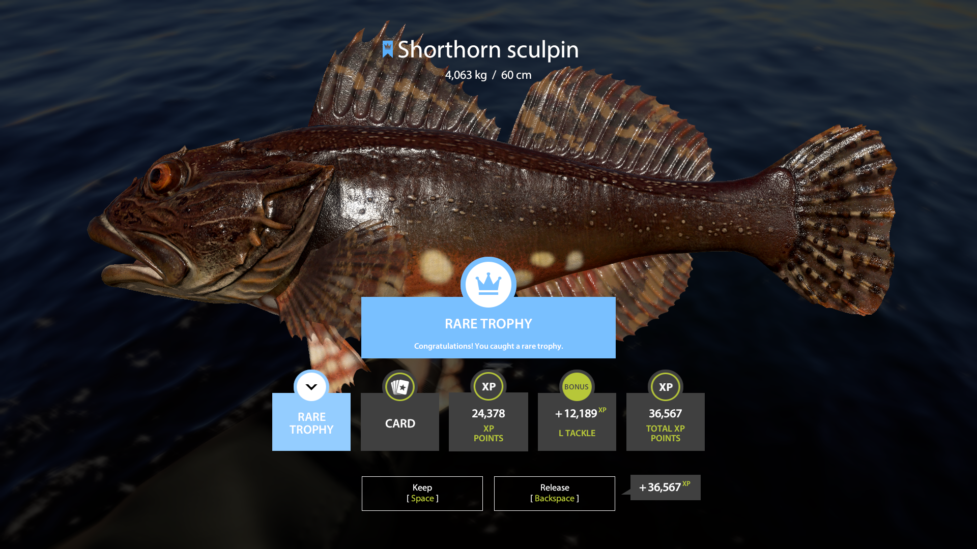 Trophy Norwegian Sea