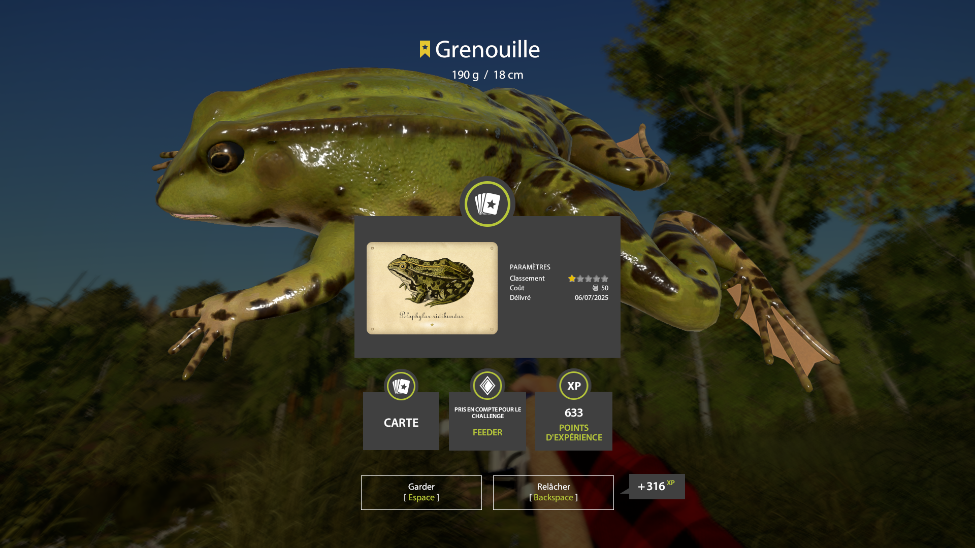Frog | France | Bottom Fishing
