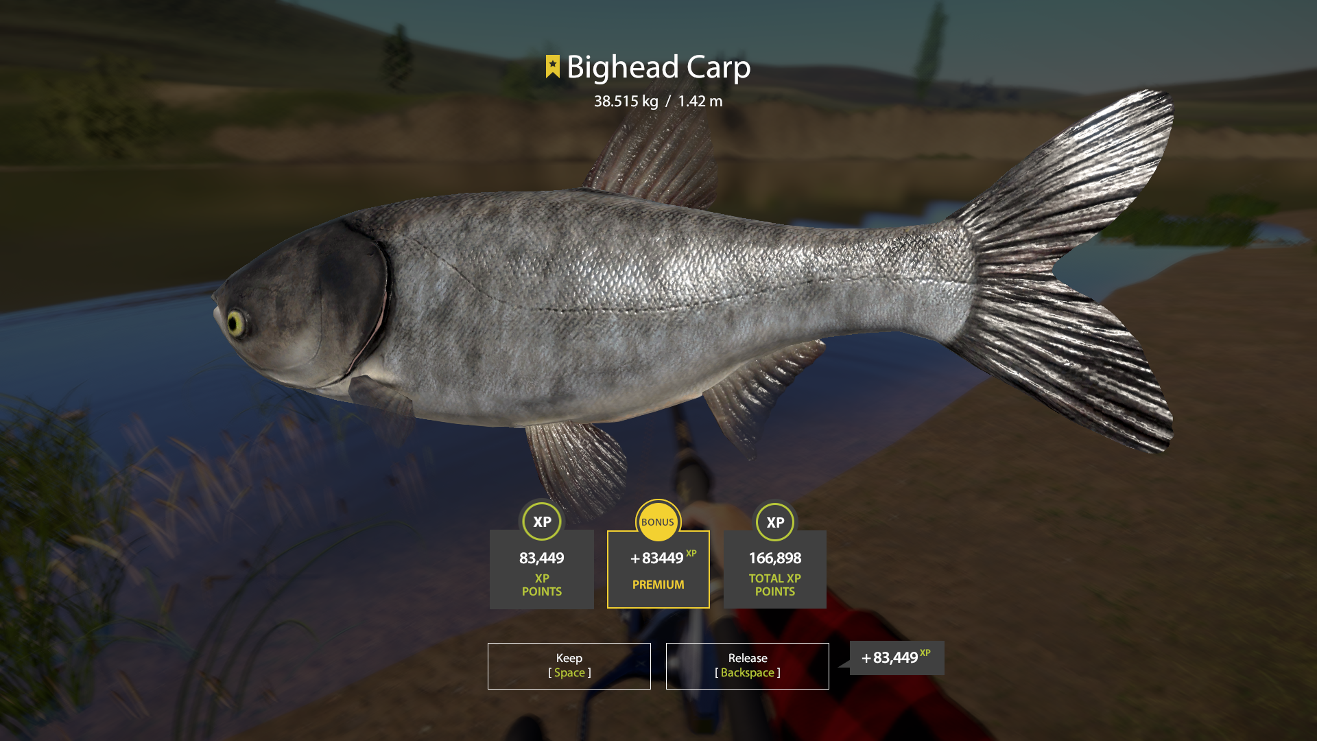 Bighead Carp | International | Bottom Fishing